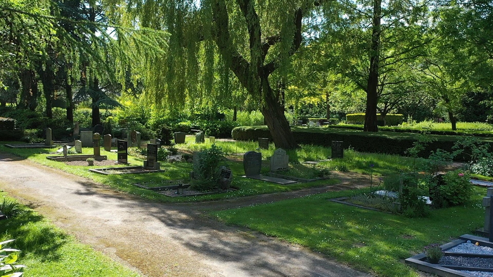 Begraafplaats Middenmeer: van kwekerij naar begraafplaats