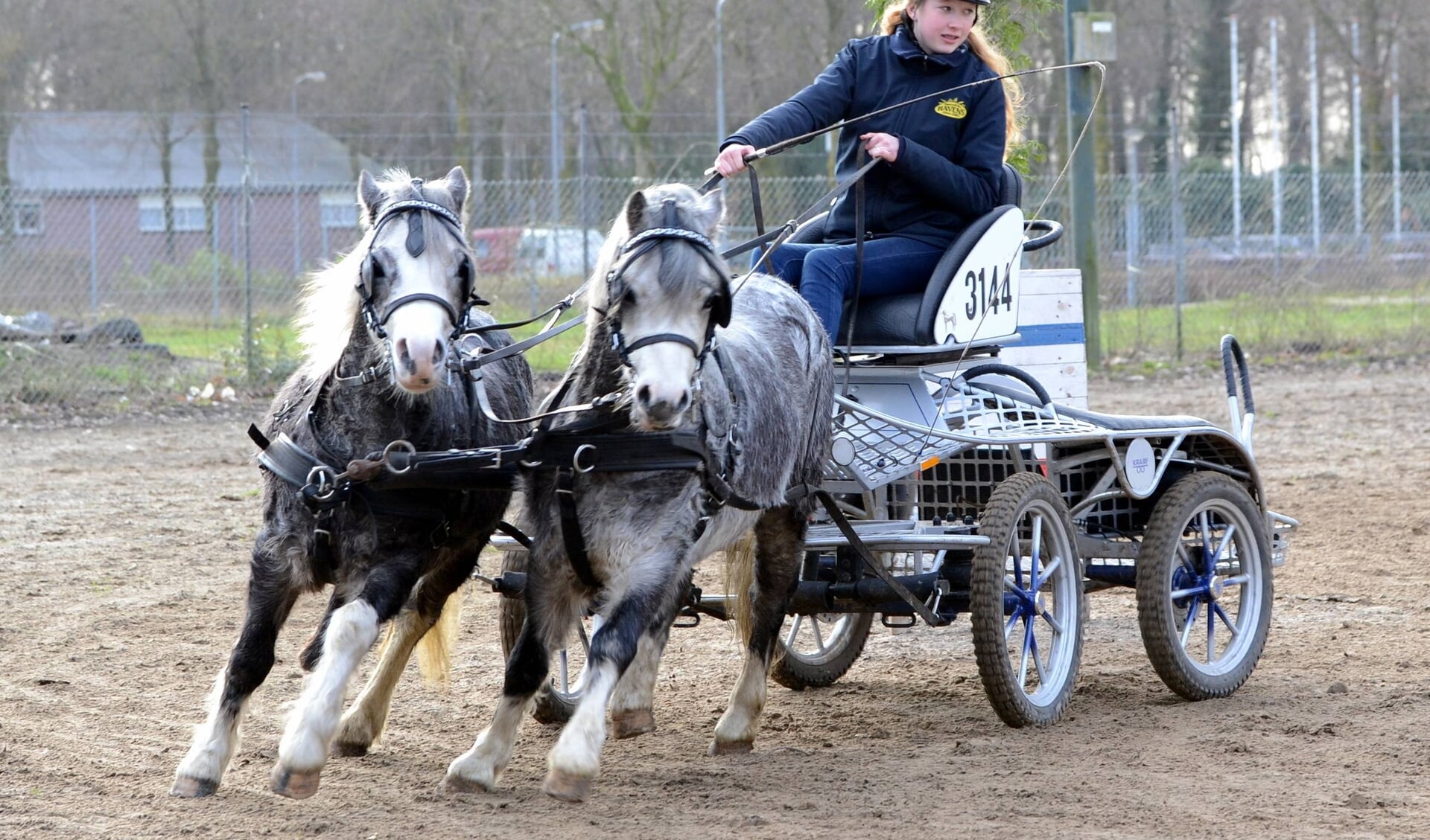 Nog meer spektakel tijdens Paard&Koets - Hét platform voor men- en ...