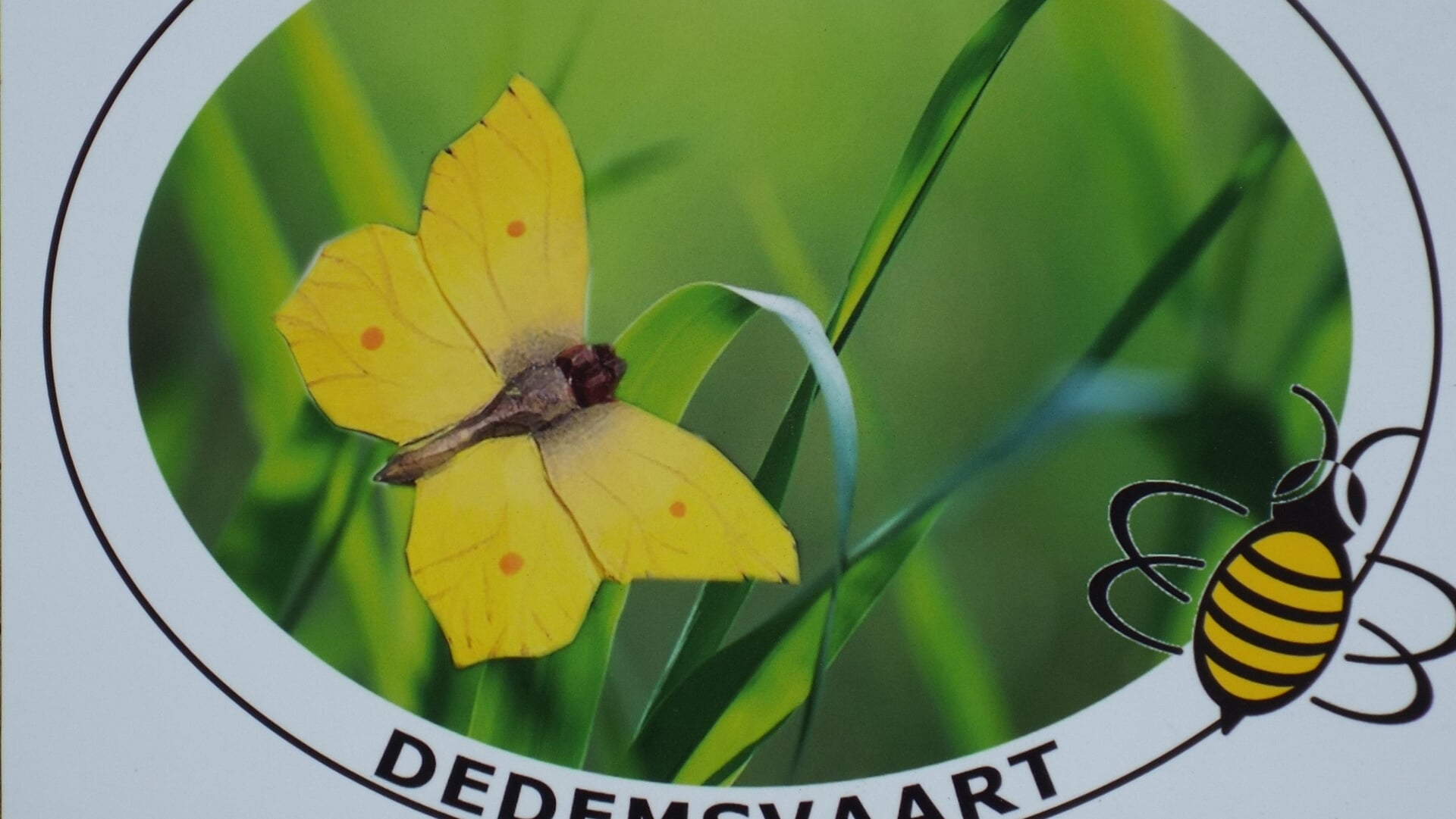 Vlinder-en insectentuin viert tweede lustrum