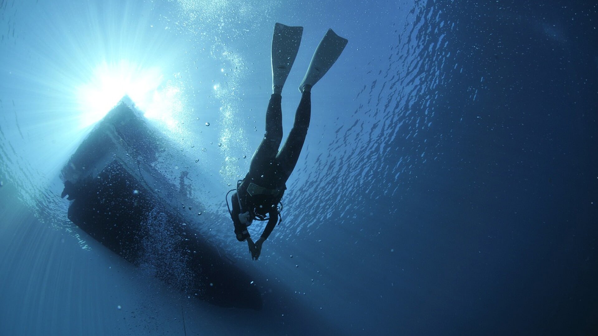Ontdek de duiksport bij Duikvereniging Zeus Faber