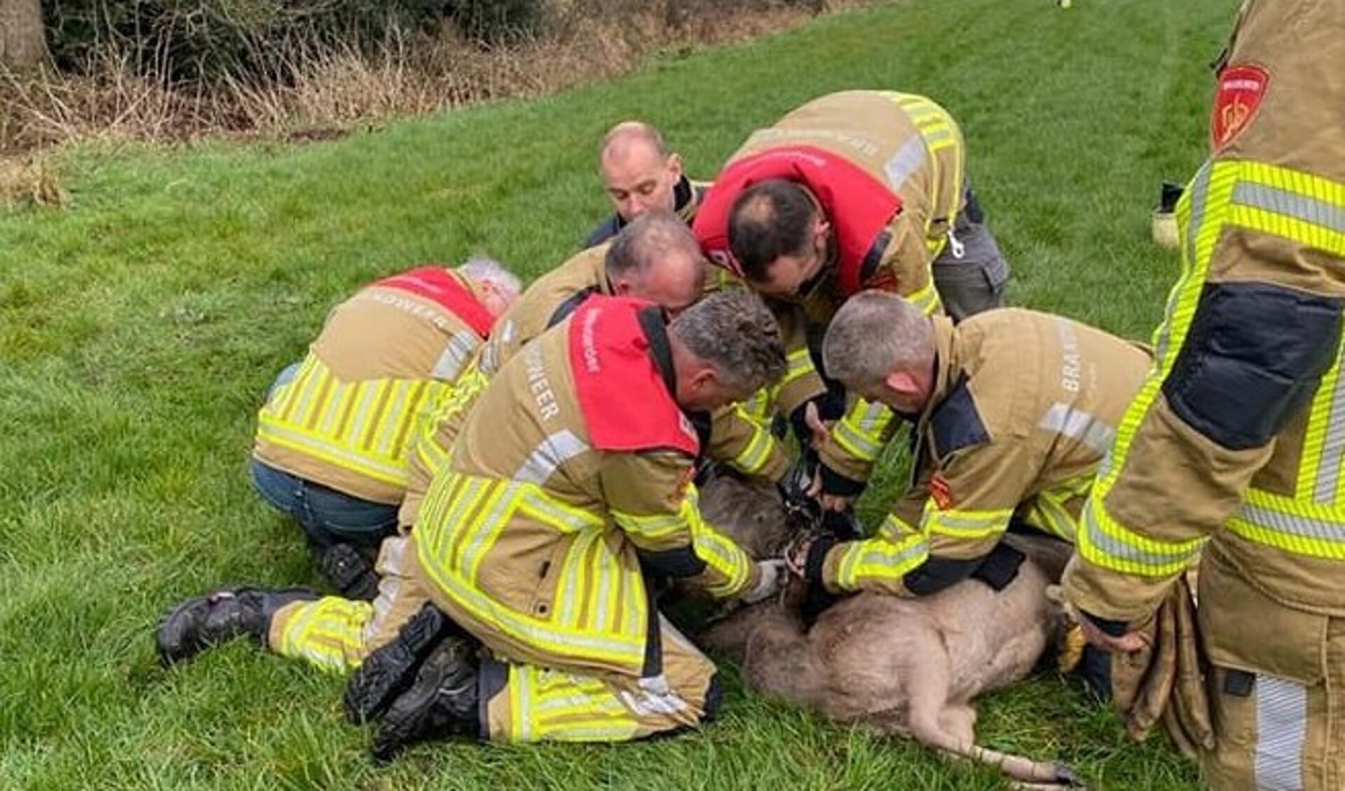 Bijzonder klusje voor brandweer Nieuwehorne