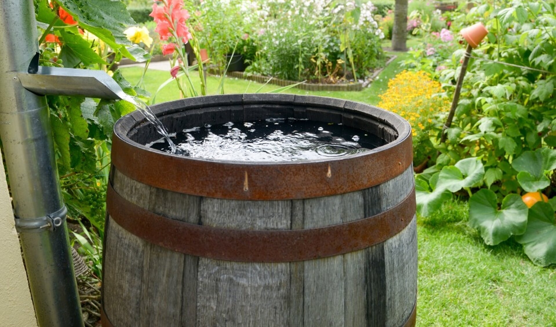 Installeer een regenton en bespaar tot wel 1.000 liter kraanwater per ...