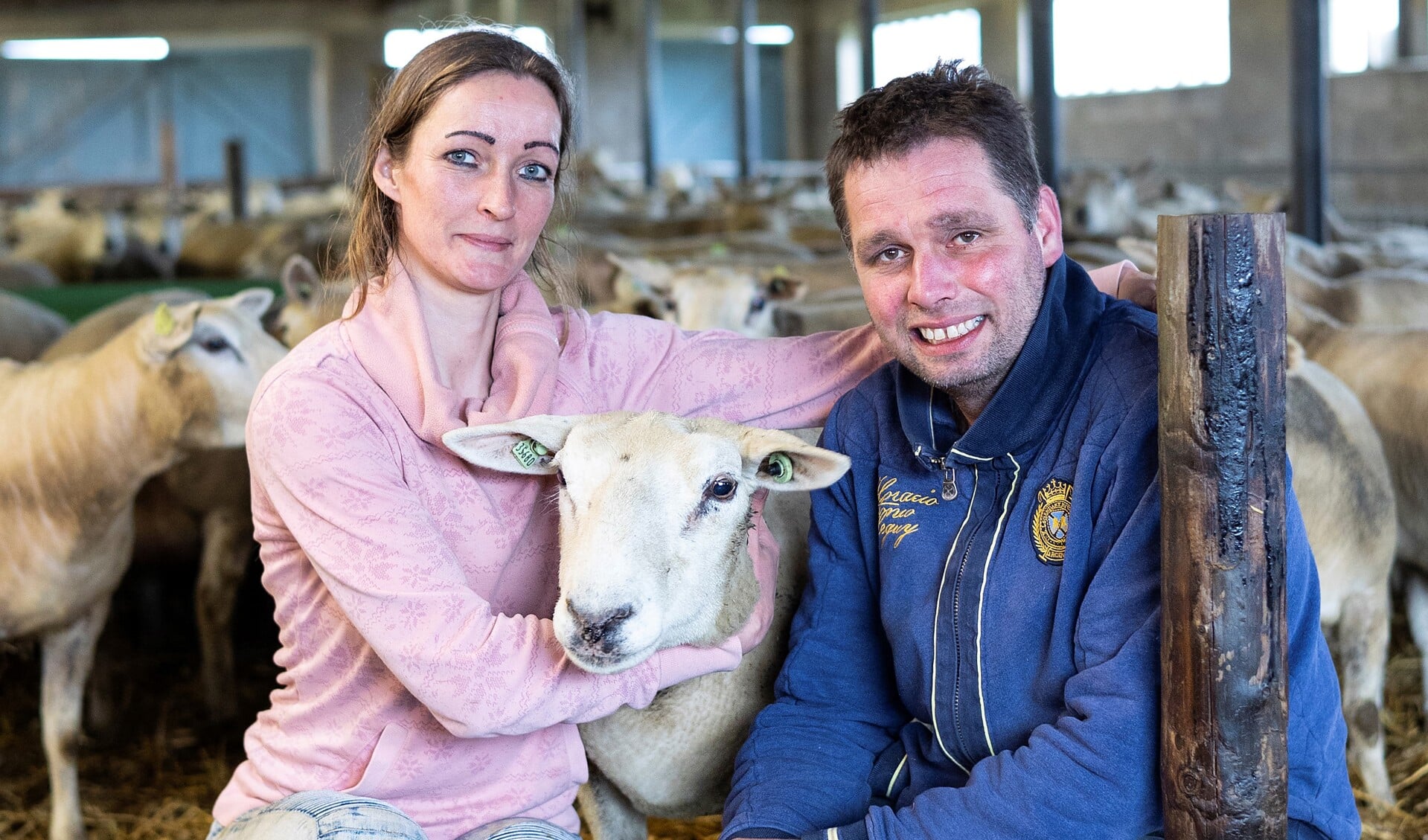 Coververhaal: Drukke tijden voor schapenfokkers Sjaak en Nadine uit Cornwerd: “Het slapen schiet er