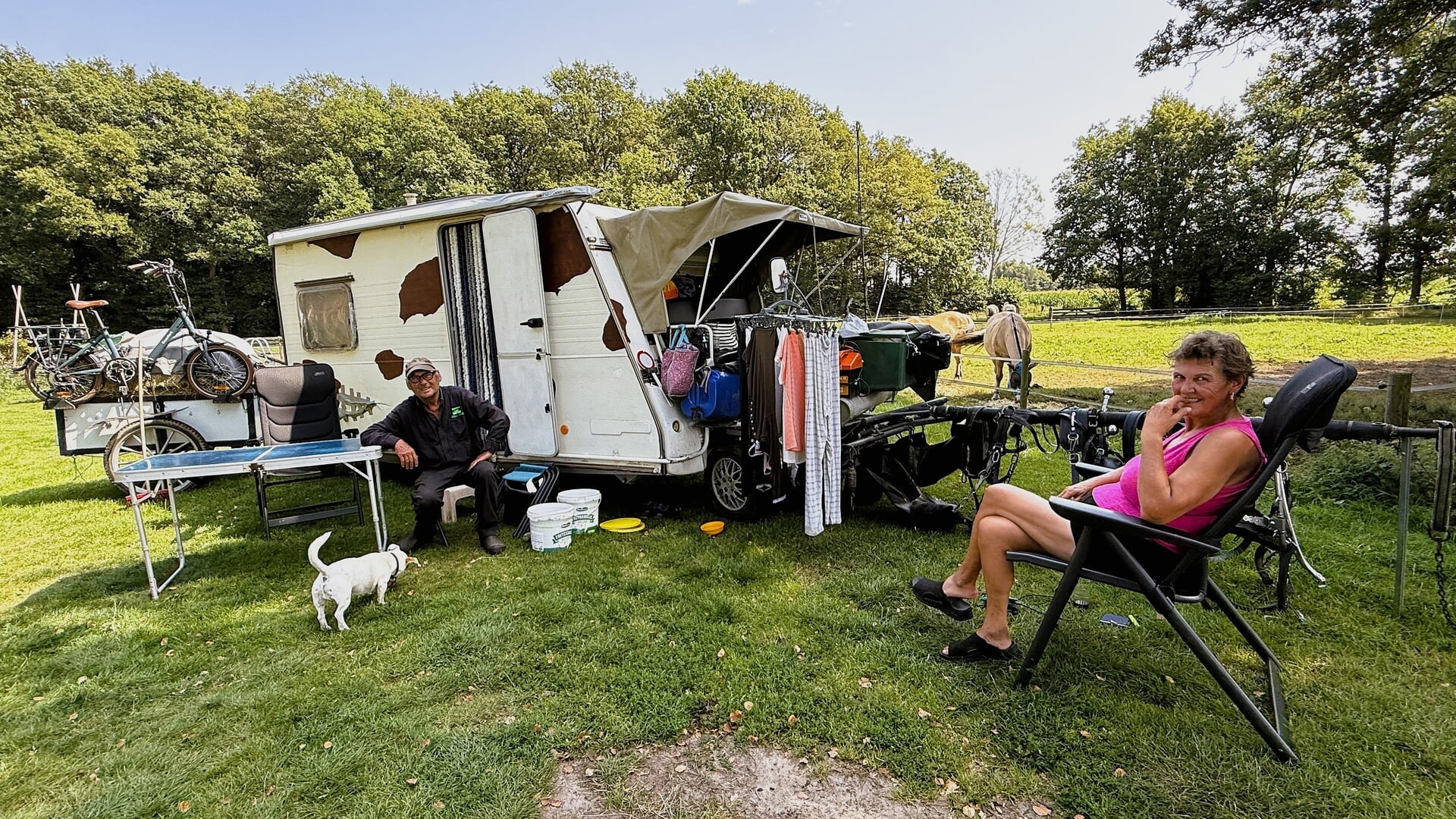 Met de viervoeters door Nederland, België en Frankrijk