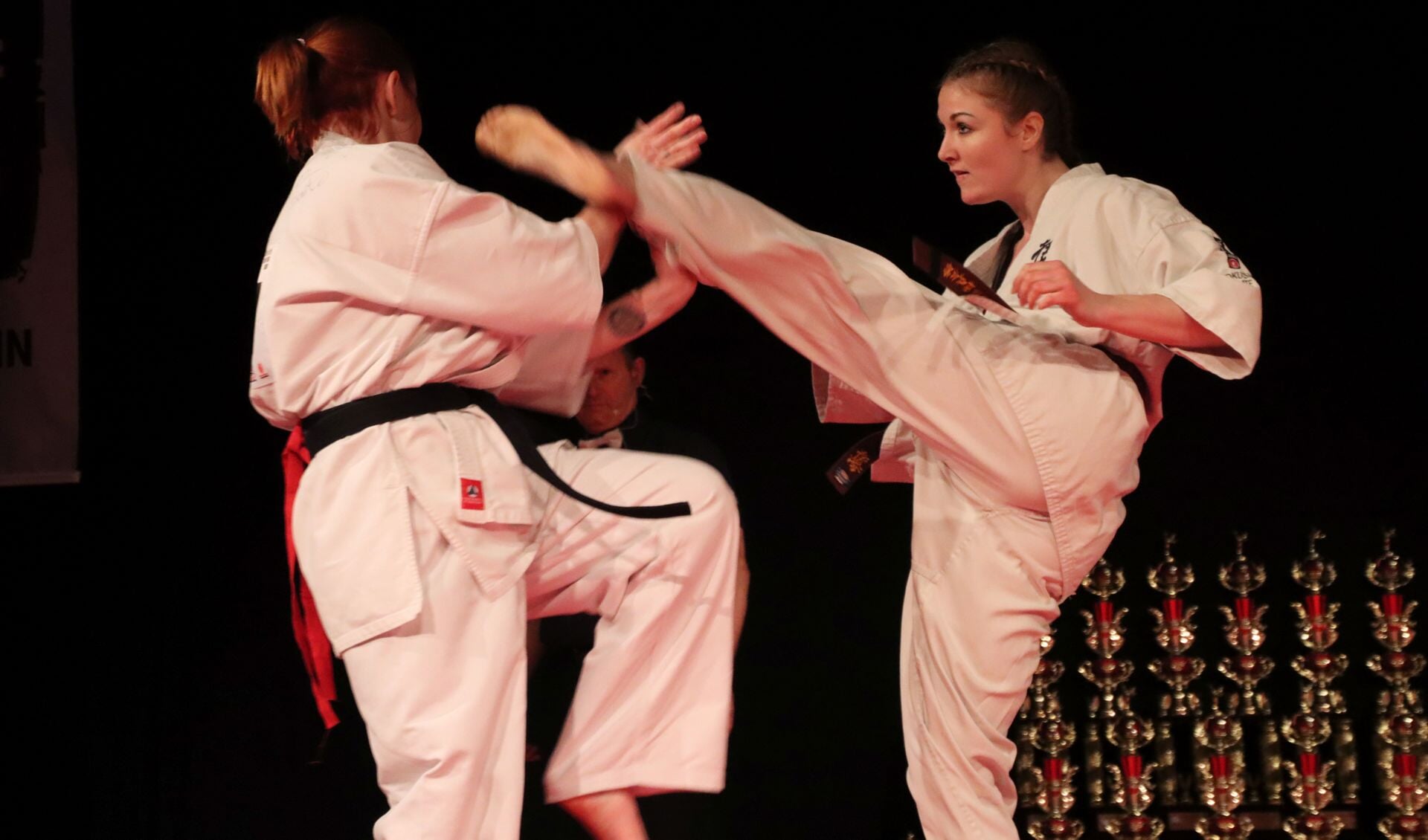 Spectaculaire 6e editie van Karate Gala ‘Masters of Kyokushin’ in De ...