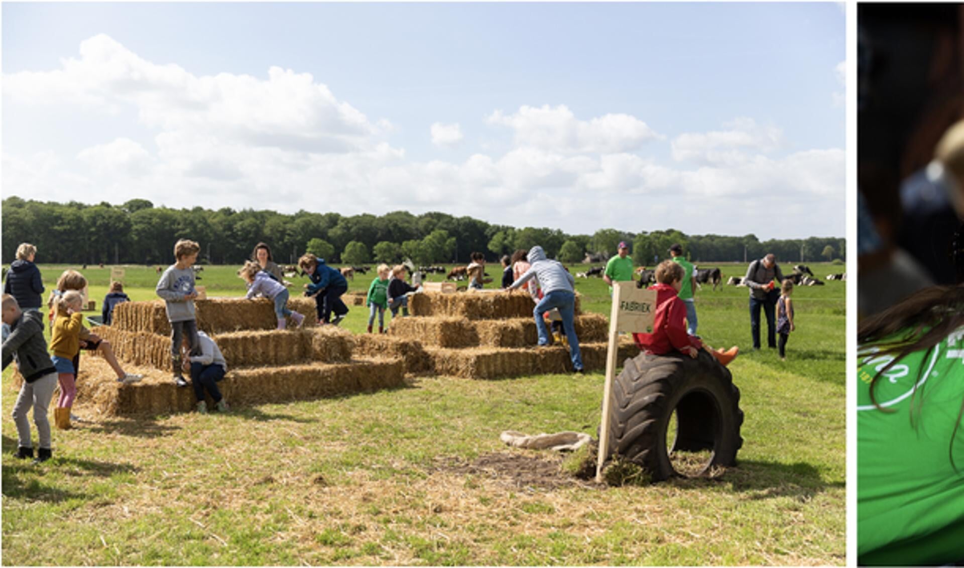 Ontdek het boerenleven in Friesland op de Campina Open Boerderijdagen