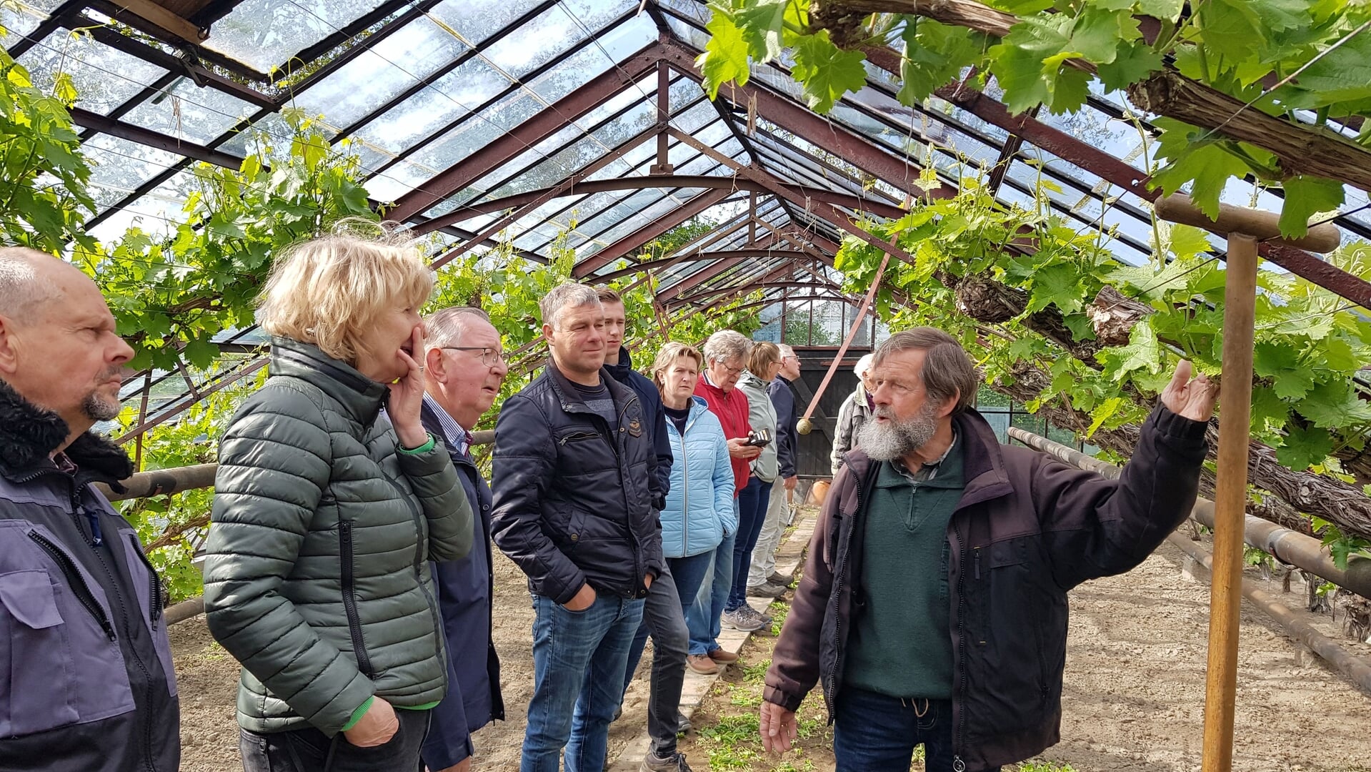 Praktijkcursus Druiven snoeien