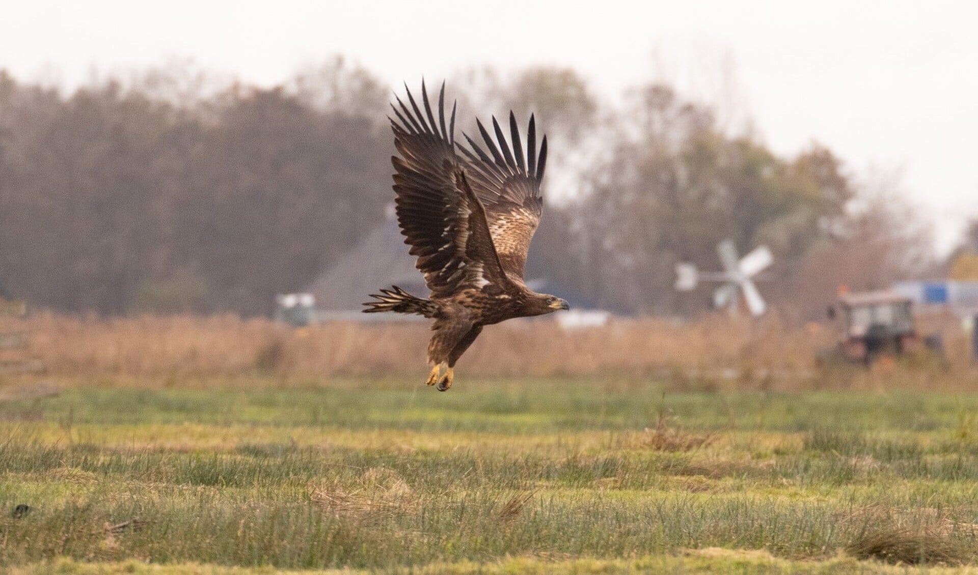 Wandelen en varen tijdens Winterdag bij De Poelboerderij