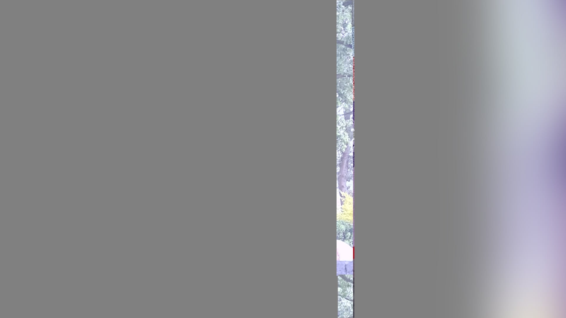 Warme jas voor eikenboom in Slagharen