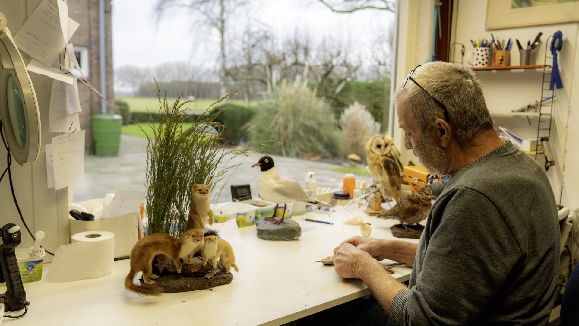 Willem Boot is preparateur: ‘Net zo blij met een mus als met een zeldzame vogel’