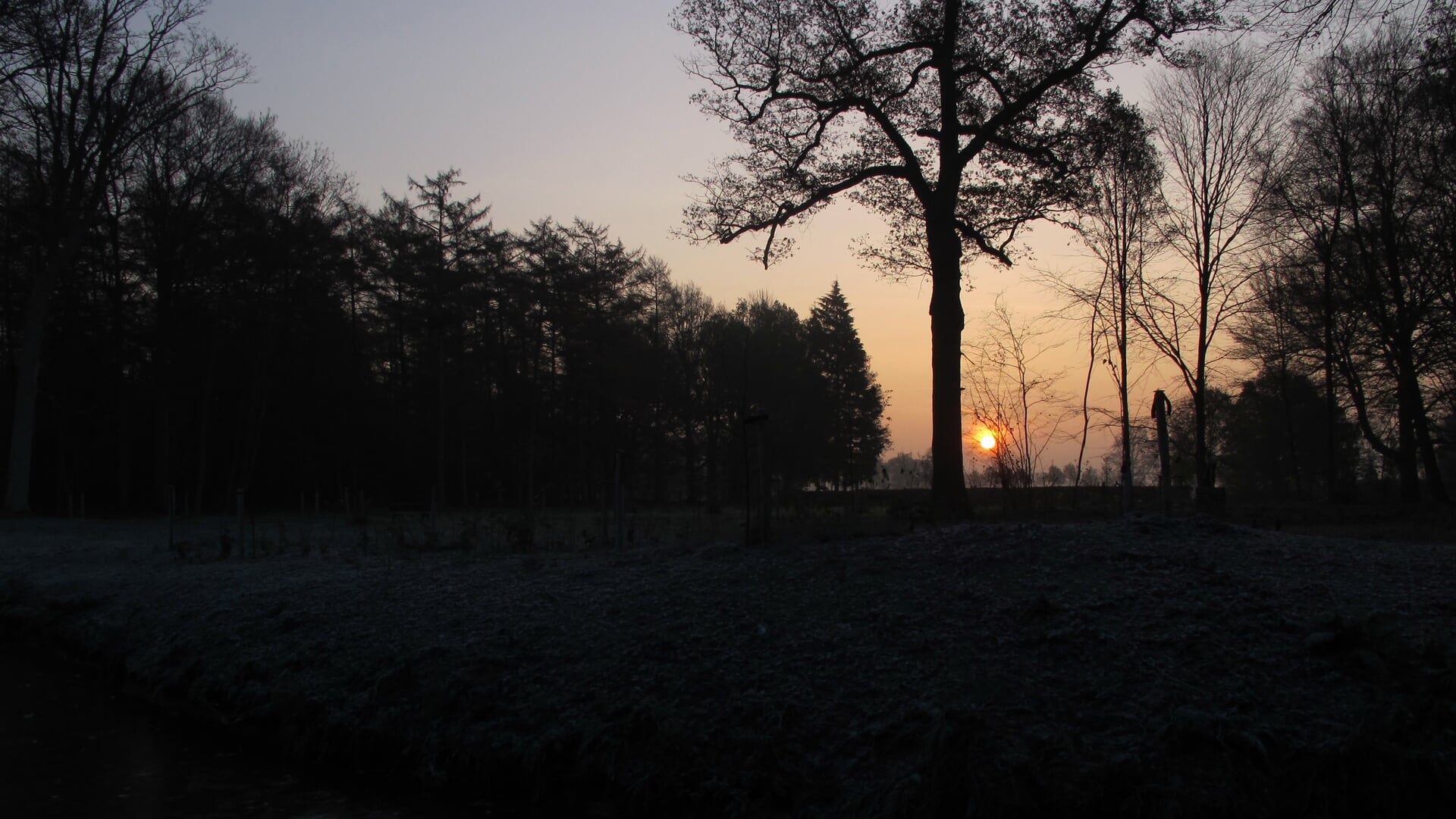 Wandeling: Stil & Donker in het Reestdal