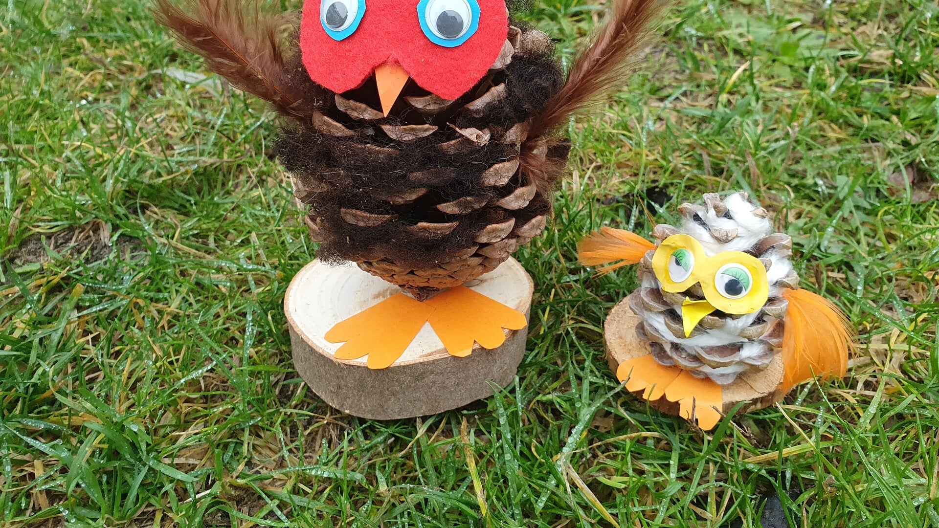 Knutselworkshop: uilen maken van dennenappels