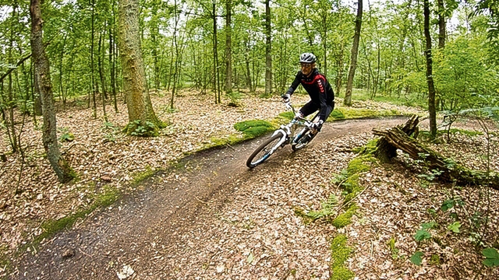 KokkieBikes Hellendoornse Bossentocht