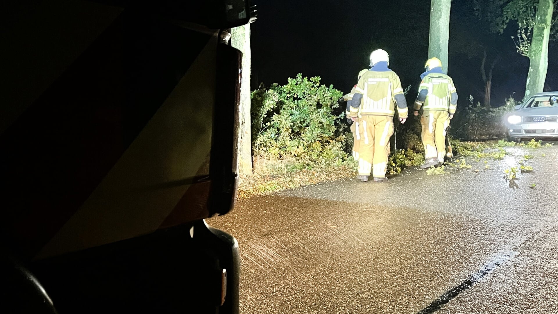 Grote tak verspert weg in Collendoorn