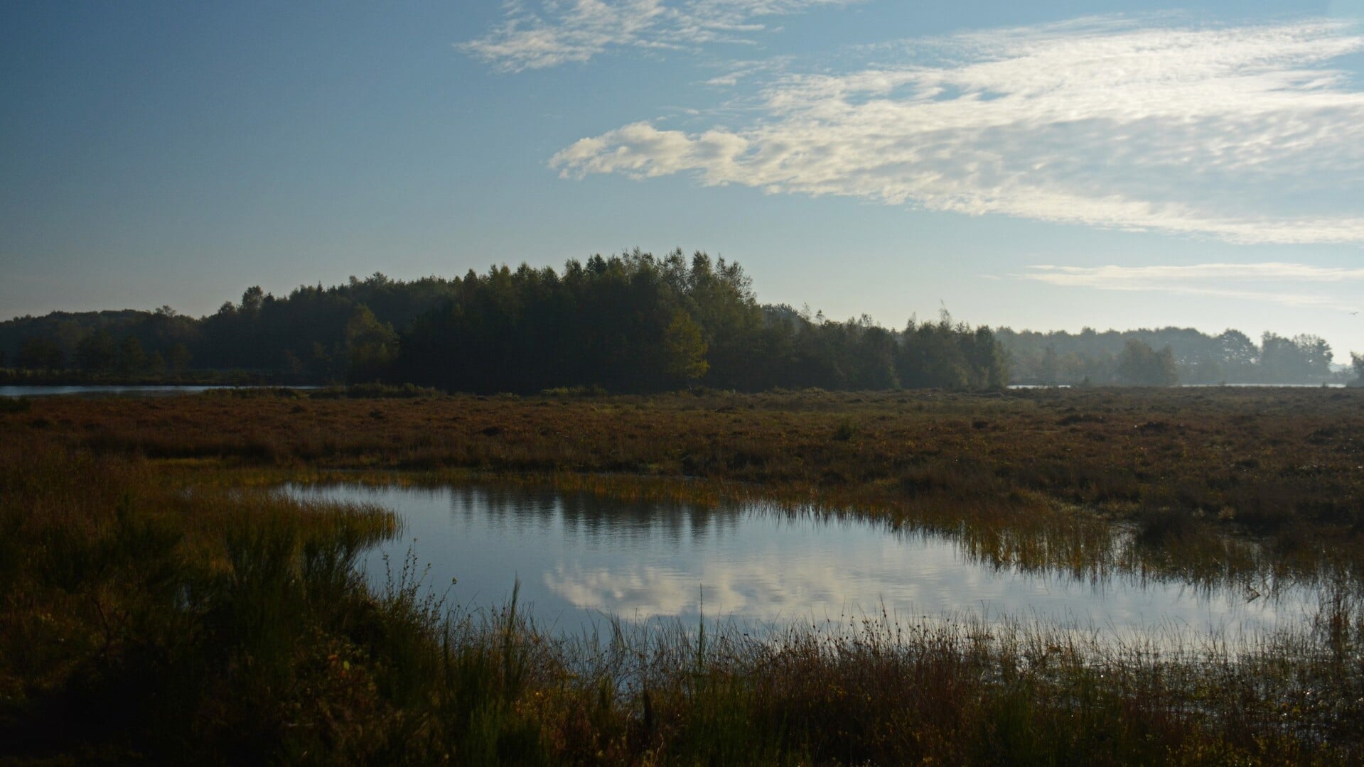 Natuurwandeling door Haardennen en Heuveltjesbos