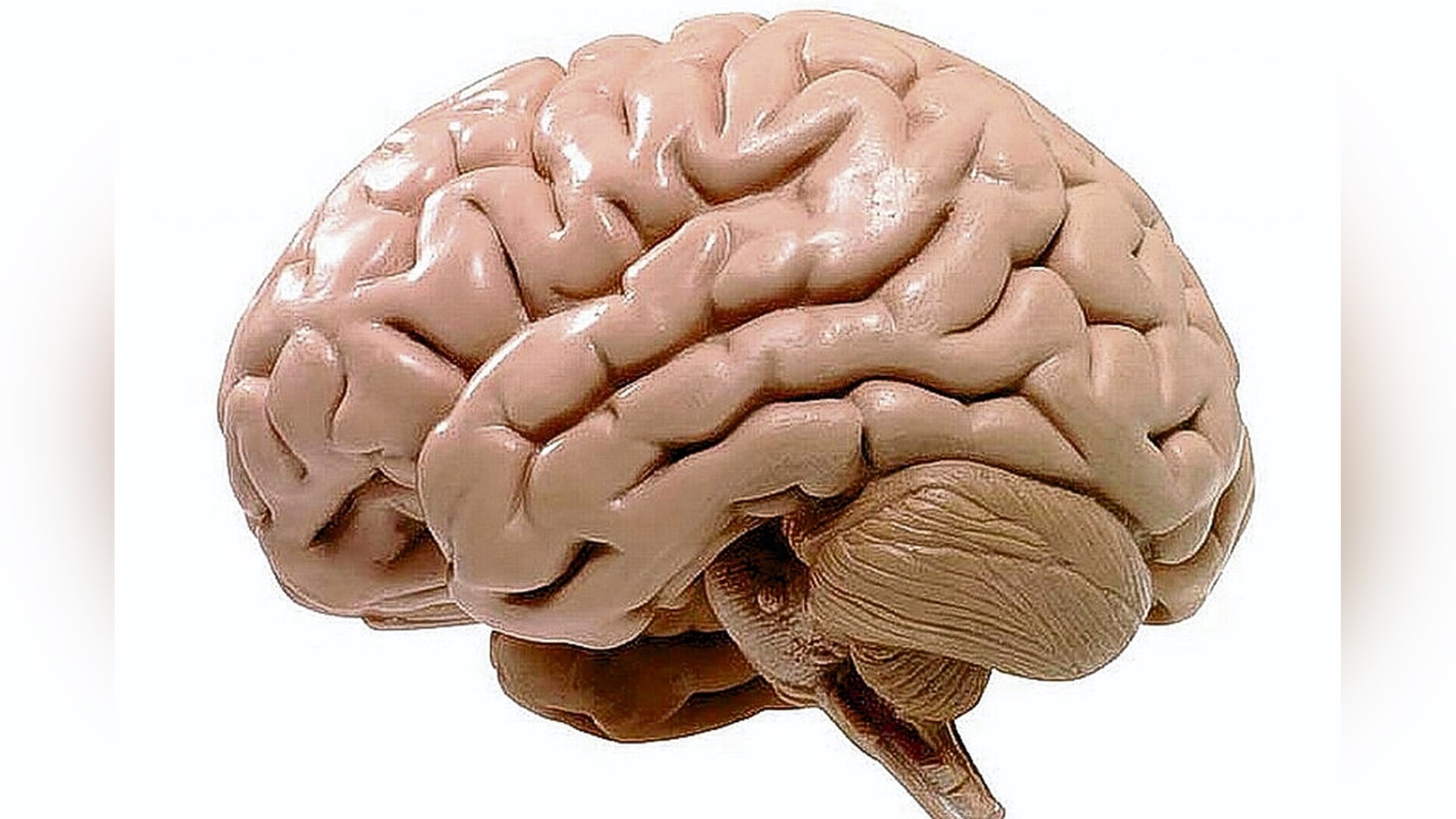 ‘In balans blijven tijdens de feestdagen