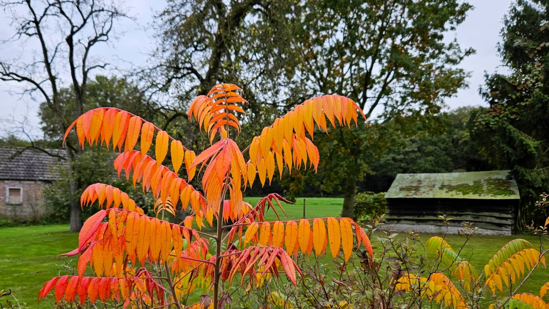 Aanhoudend onbestendig herfstweer