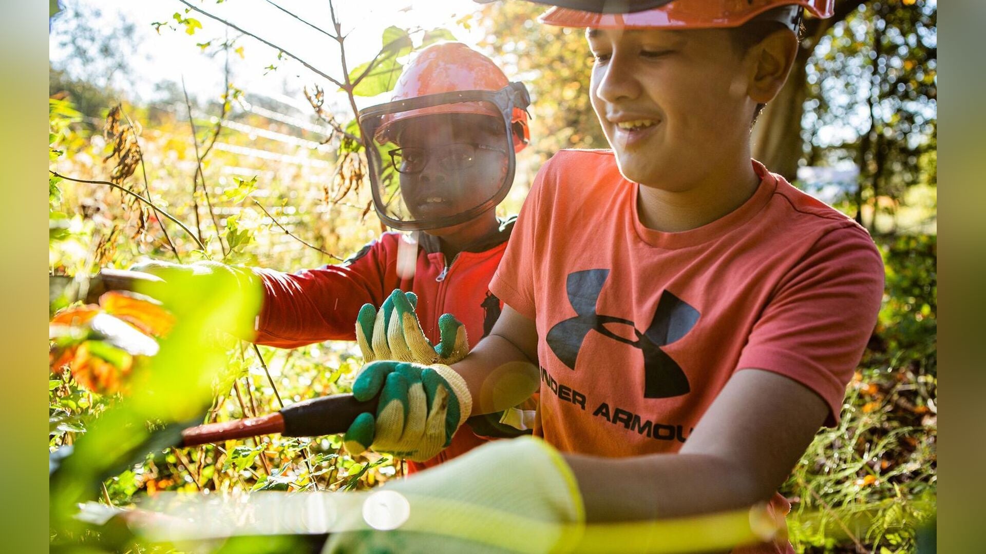 Aan het werk in de natuur bij de Wheem