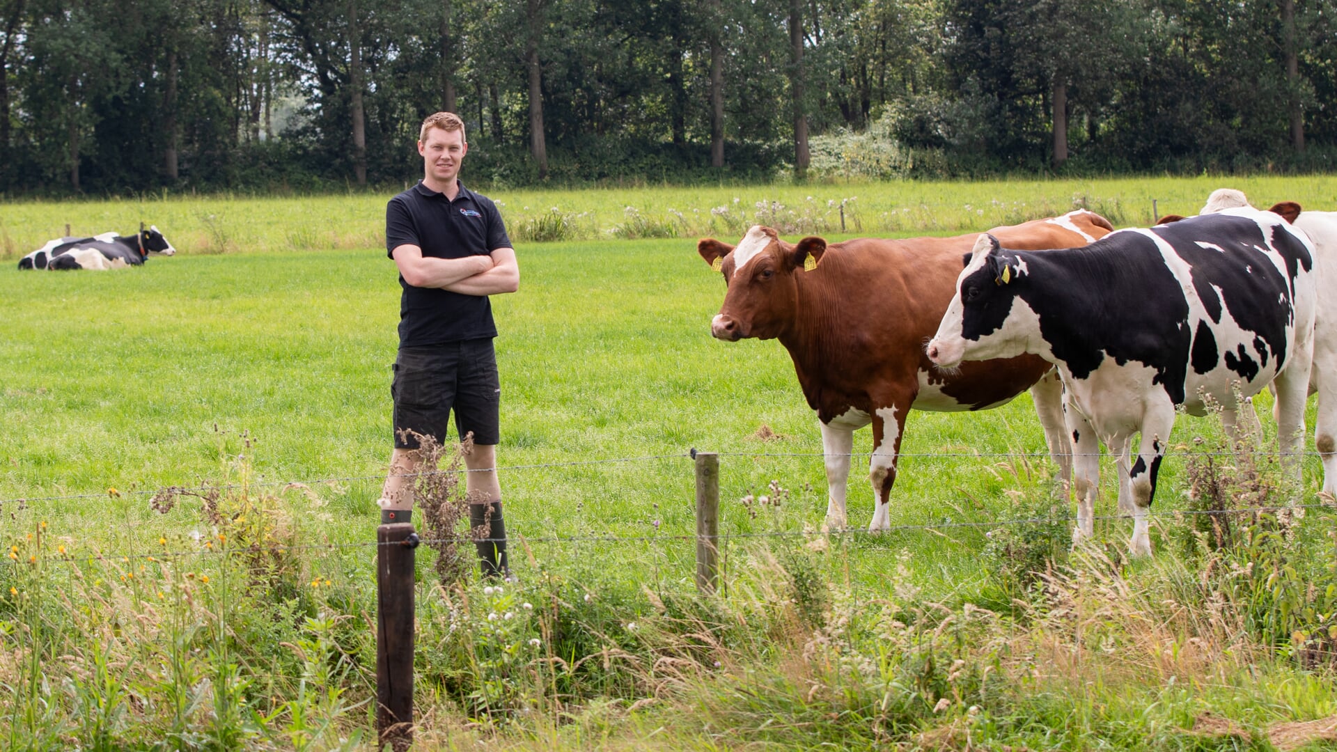 Dn Boer Op Koeien Drinken Liever Lauw Dan Koud Water Al Het Nieuws Uit Laarbeek