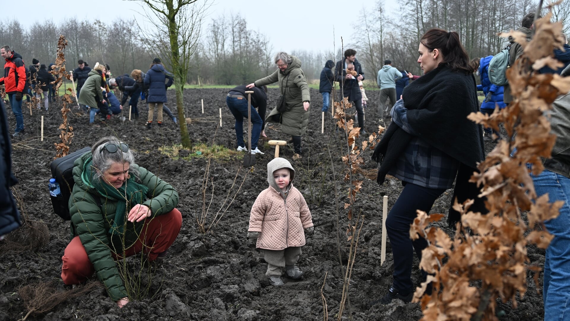 Geboortebos Park Zwanenburg geeft kinderen een groene start 2025