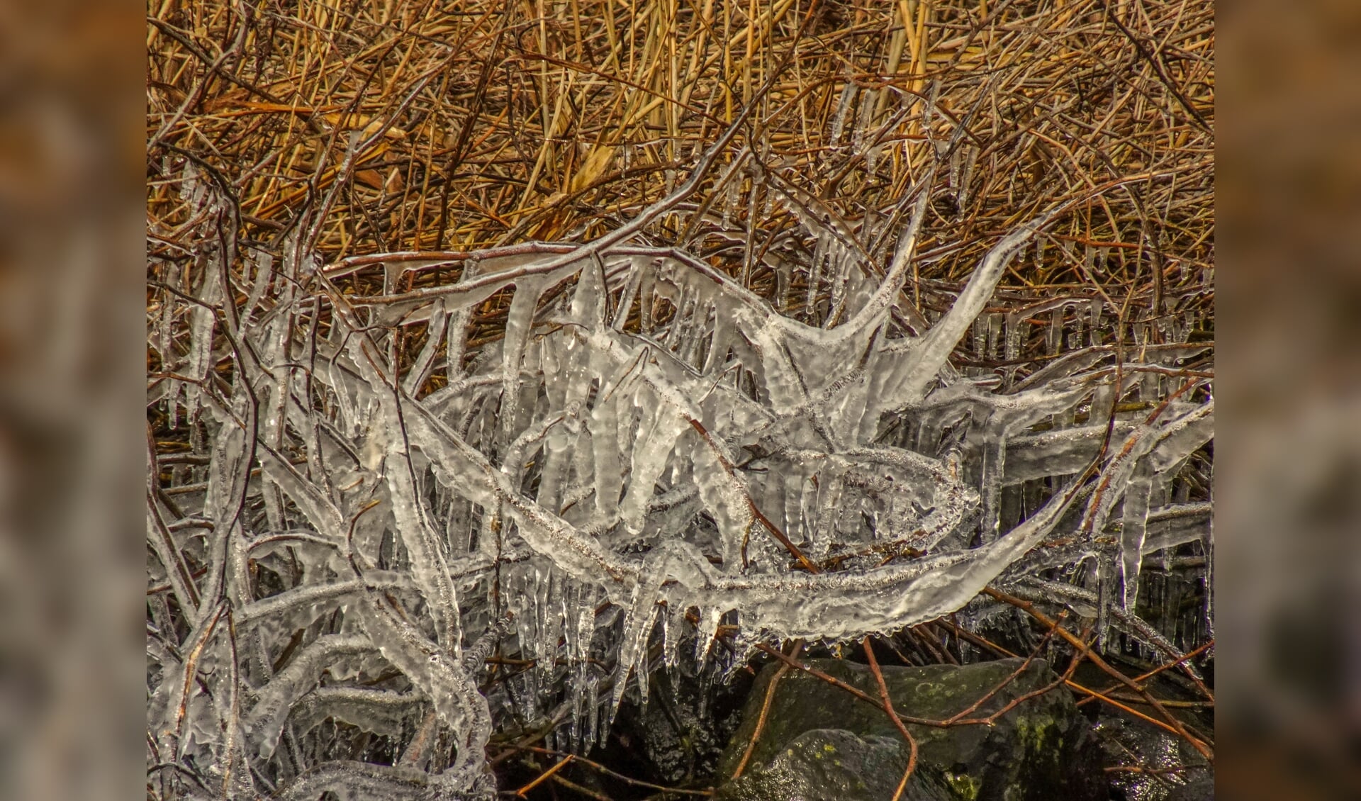 Winter laat zich voor het laatst zien