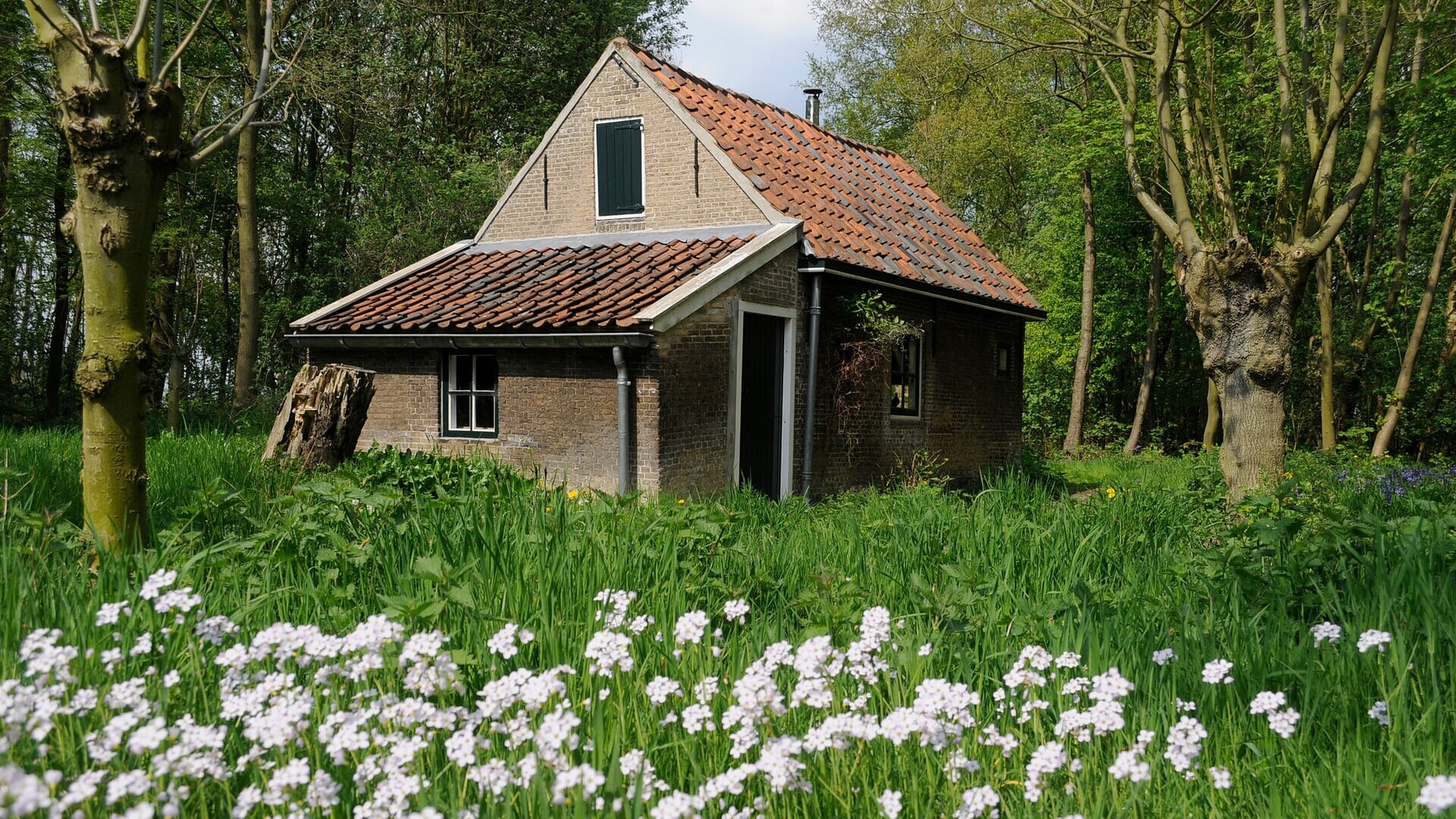 Eeuwenoude eendenkooi in Midden-Delfland open voor bezoek