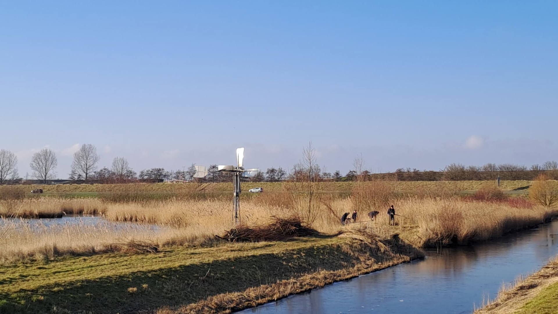 Vrijwilligersgroep Westfriesland verbetert leef- en broedgebied voor moerasvogels