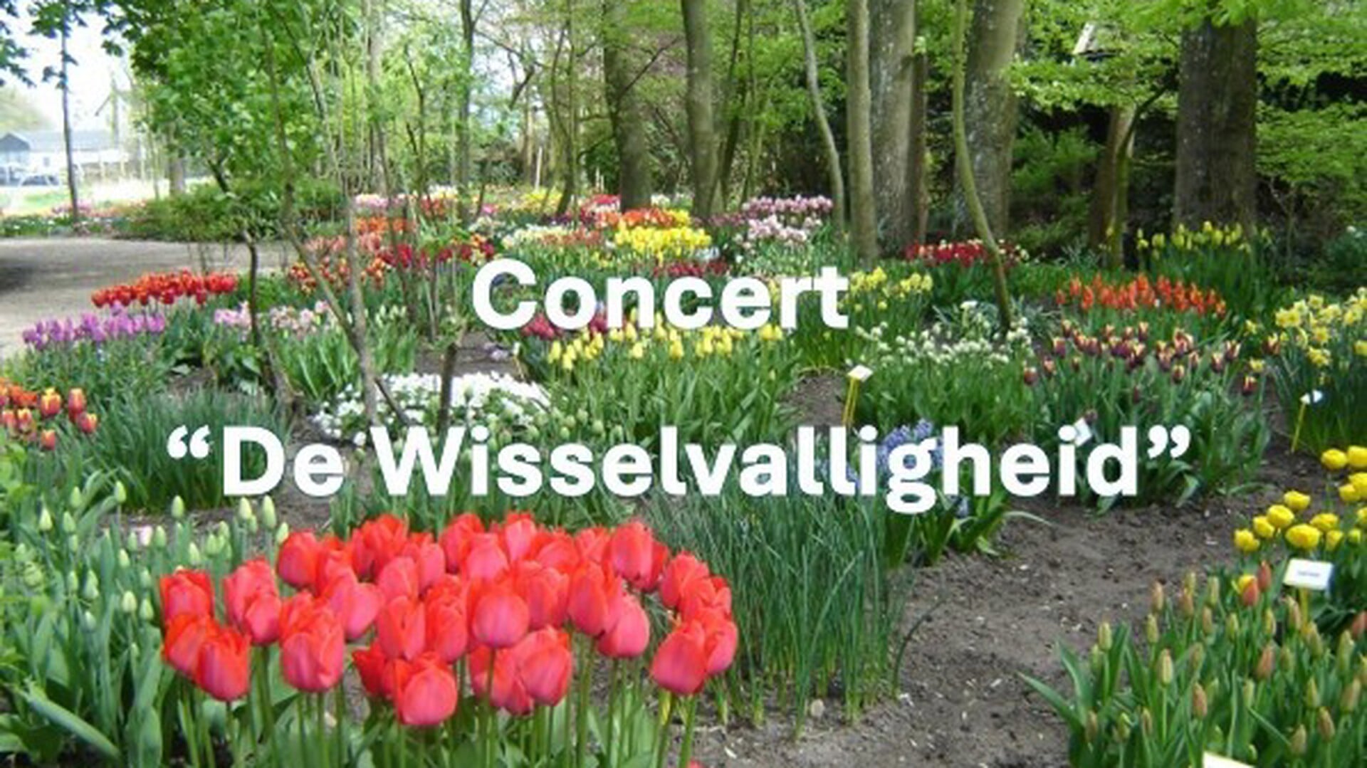Concert De Wisselvalligheid voor één keer in kerkje