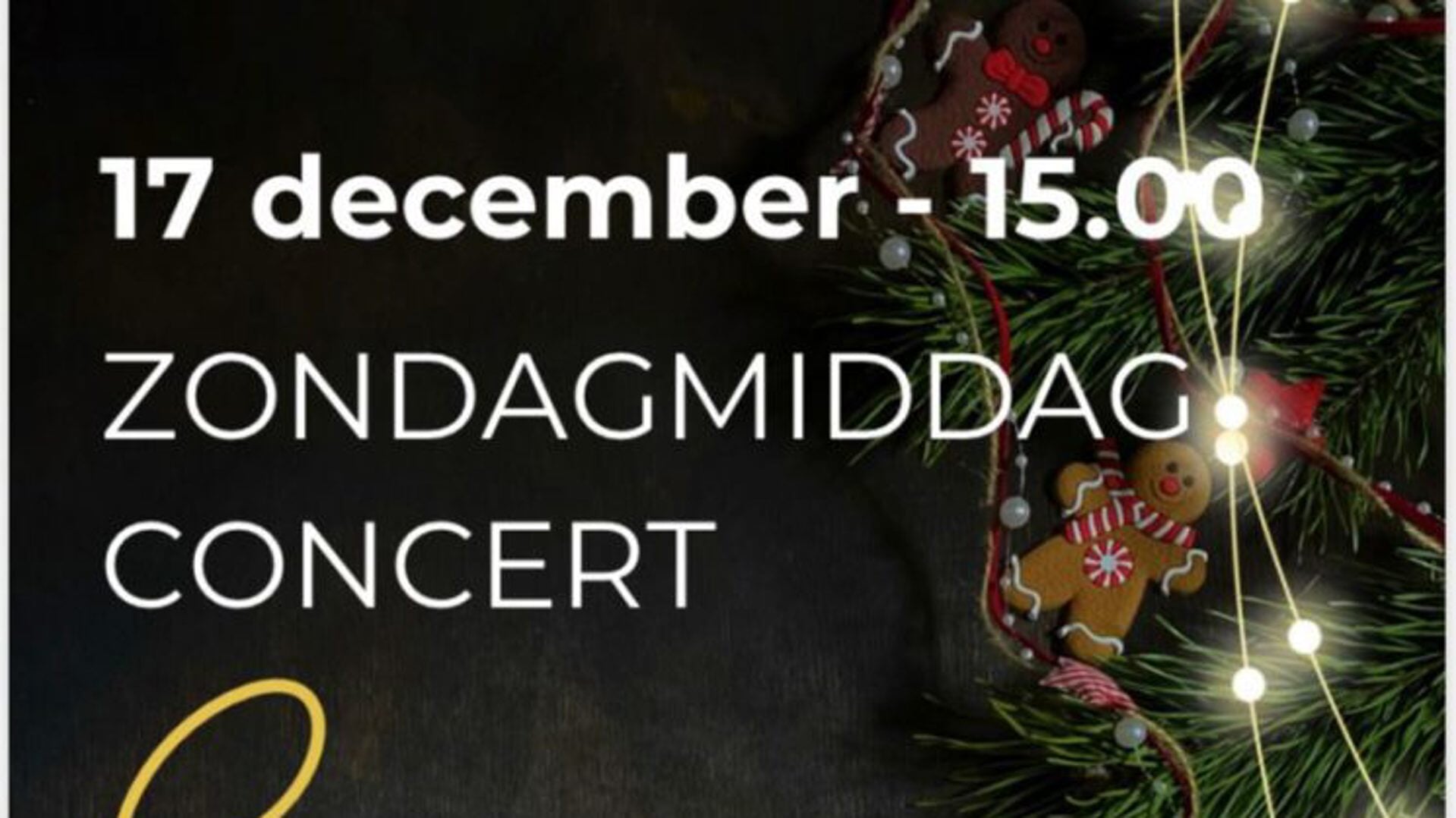Zondagmiddag kerstconcert in kerk Goënga