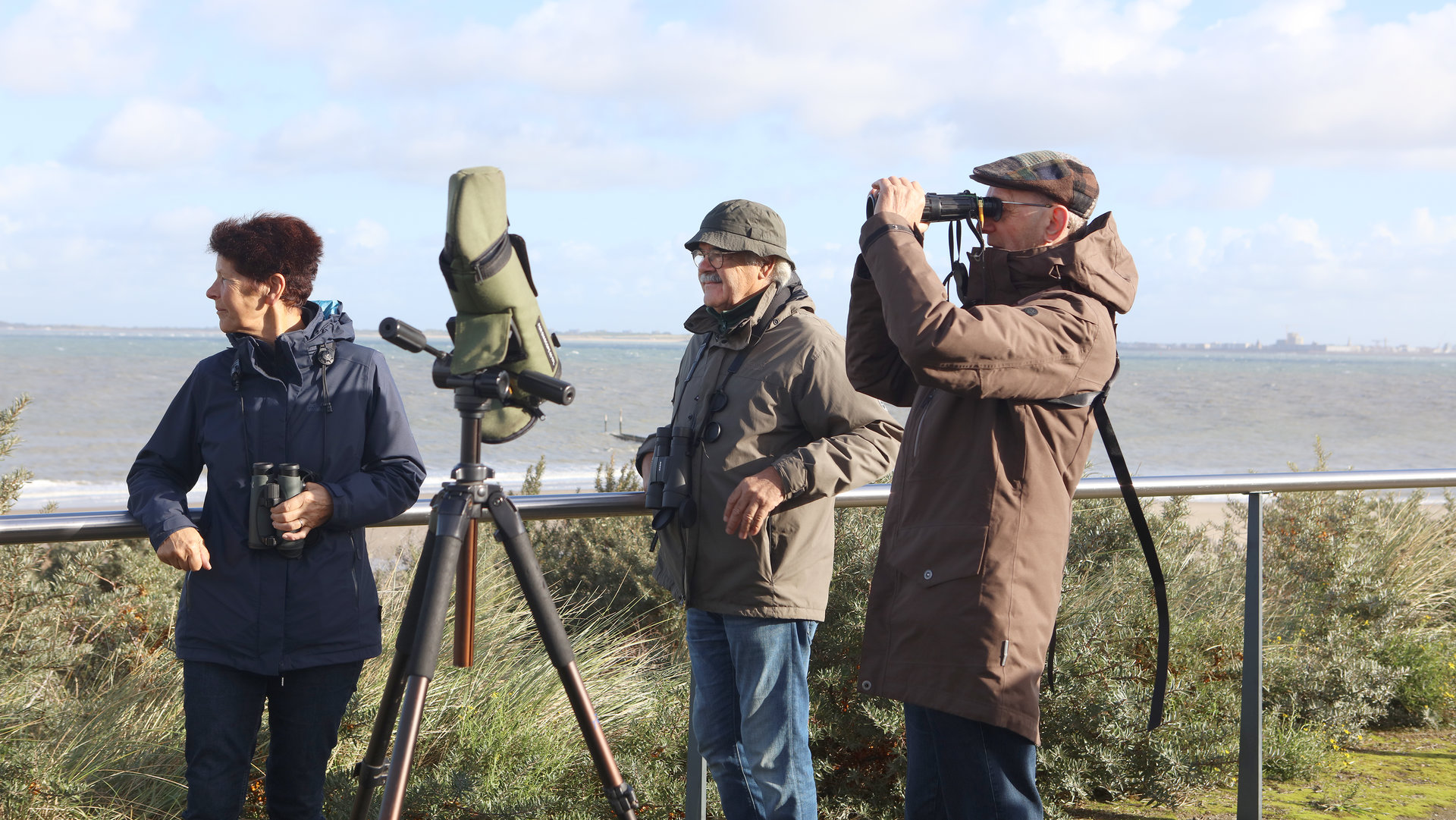 Euro Birdwatch 2026 op Telpost Breskens