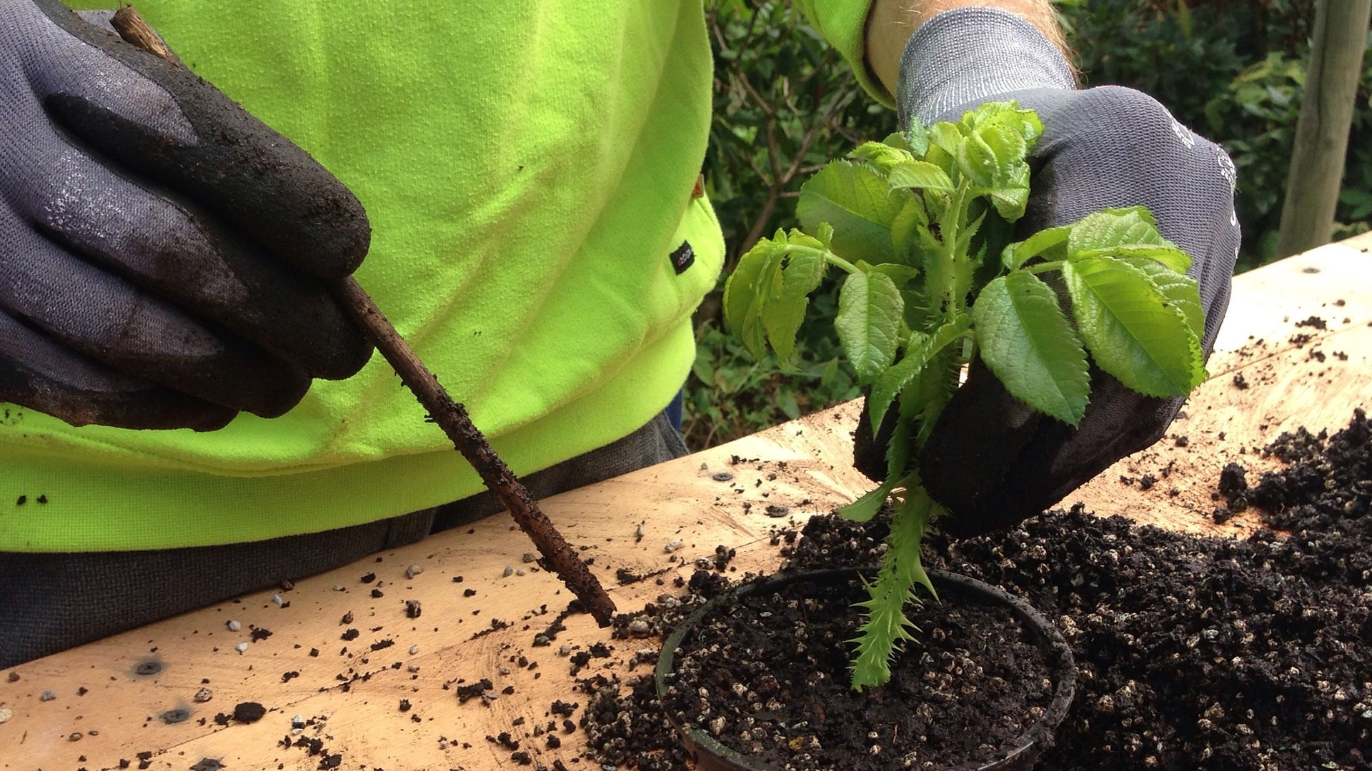Planten en gereedschap krijgen tweede leven op ruilbeurs in Koudekerke