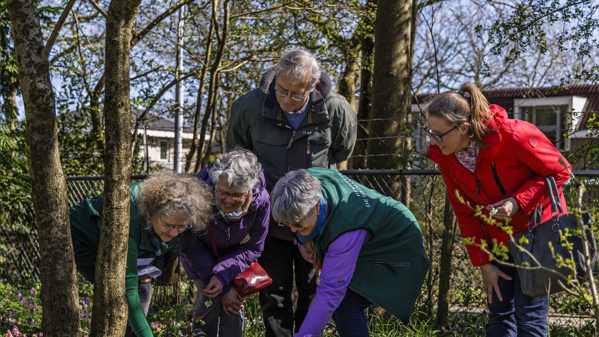 Lezing en excursie over Voorjaarsbloeiers in heemtuin De Heimanshof