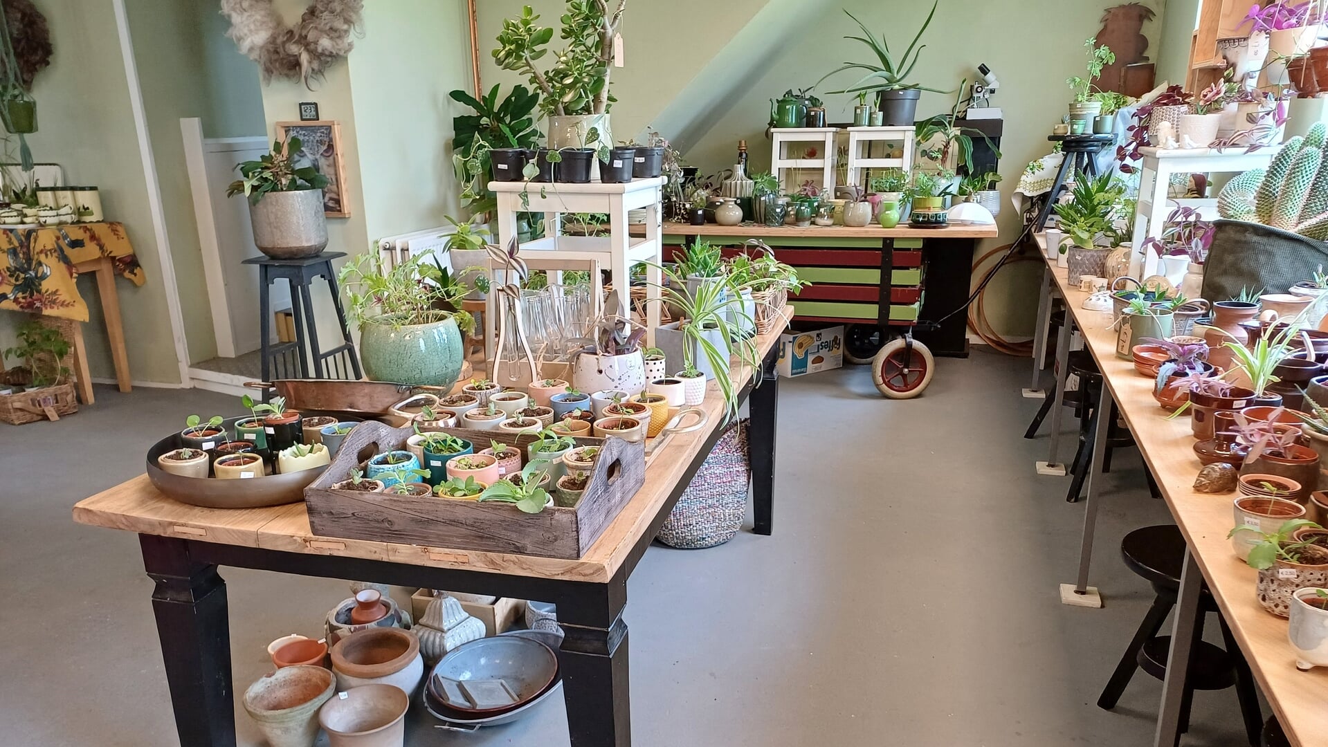 Stekkendag bij Bezoekerscentrum de Poelboerderij Wormer