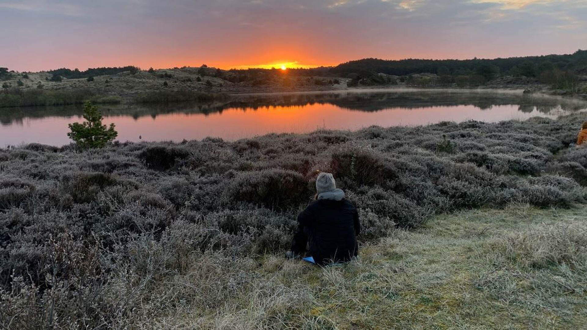 Viewingparty Zonsopkomst in Schoorl