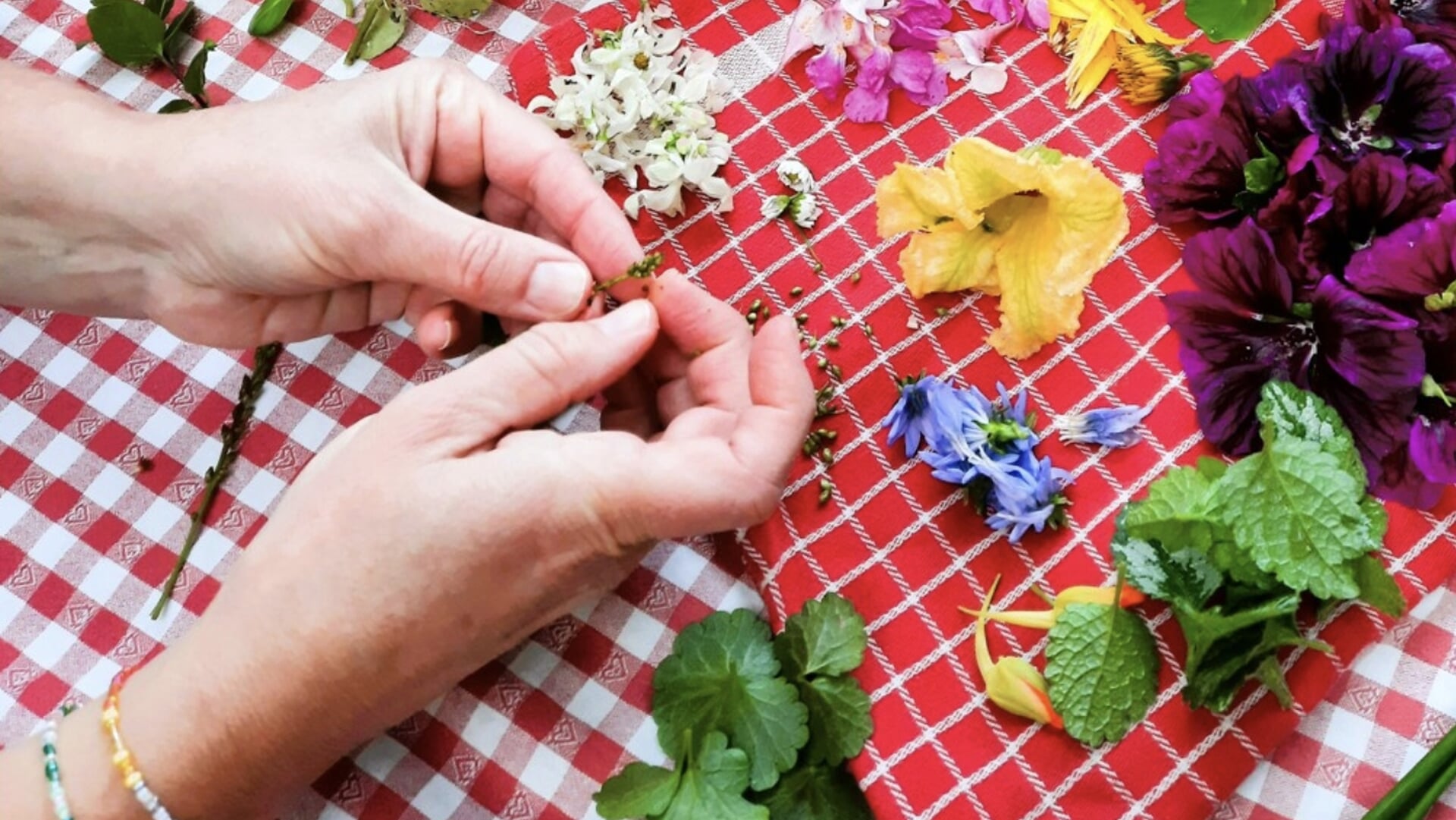 Culinaire kruidenworkshop Buytenhof