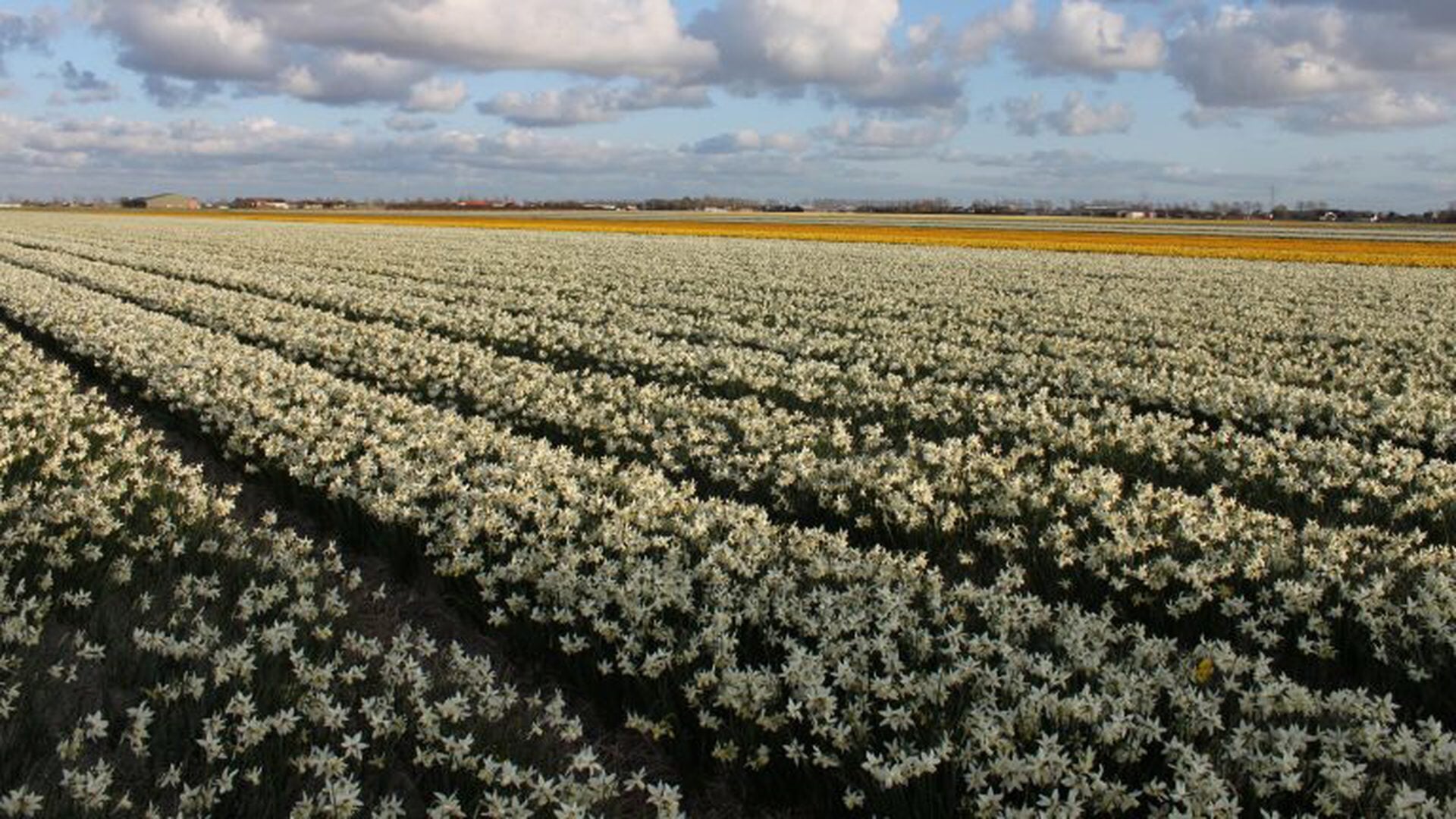 Hollands Kroon werkt aan nieuw beleid voor arbeidsmigranten – inwoners kunnen meepraten tijdens bije