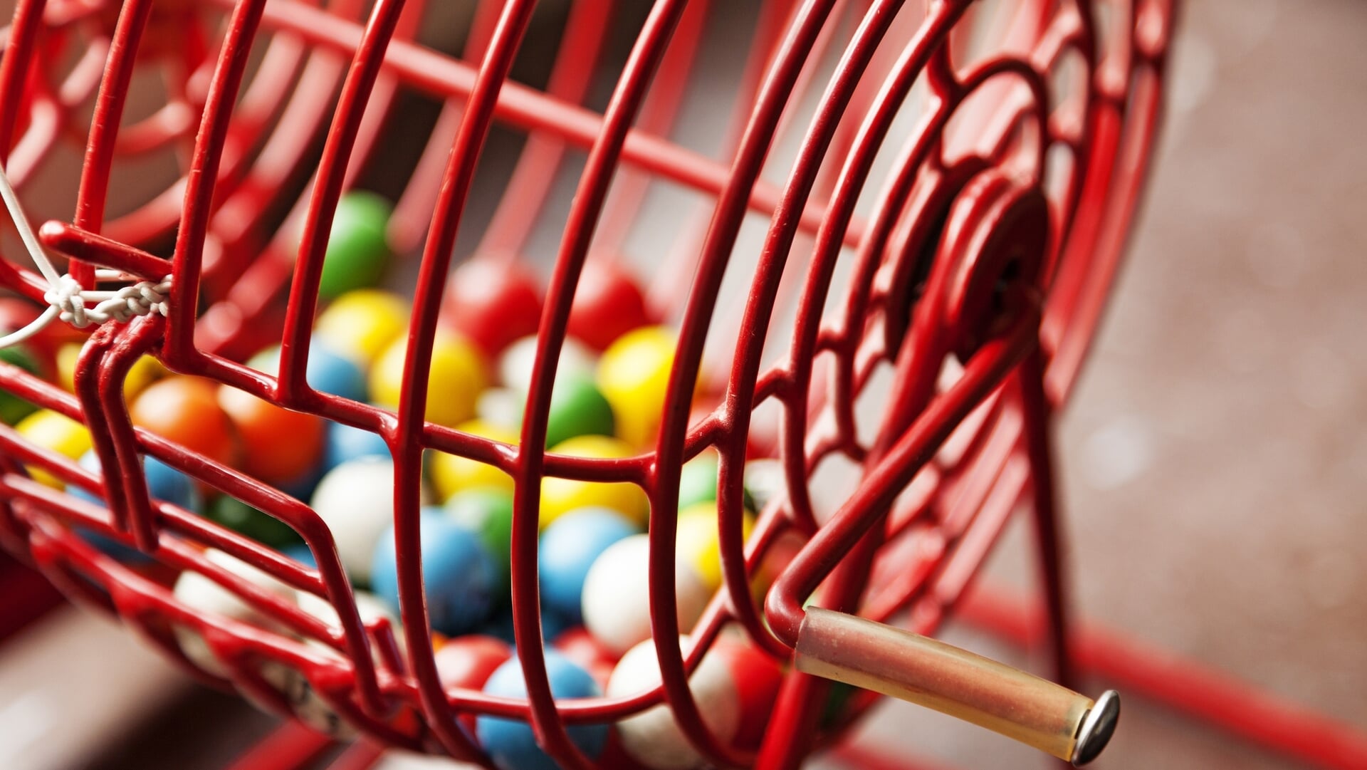Tip voor Moederdag: gezellige bingo in het Arboretum