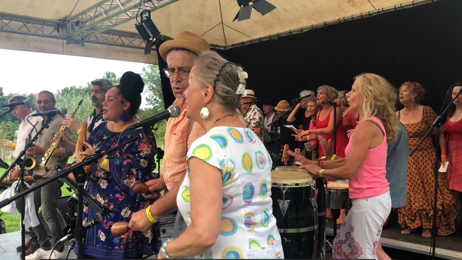 Recordaantal bezoekers en muzikanten bij Festival Den Andel