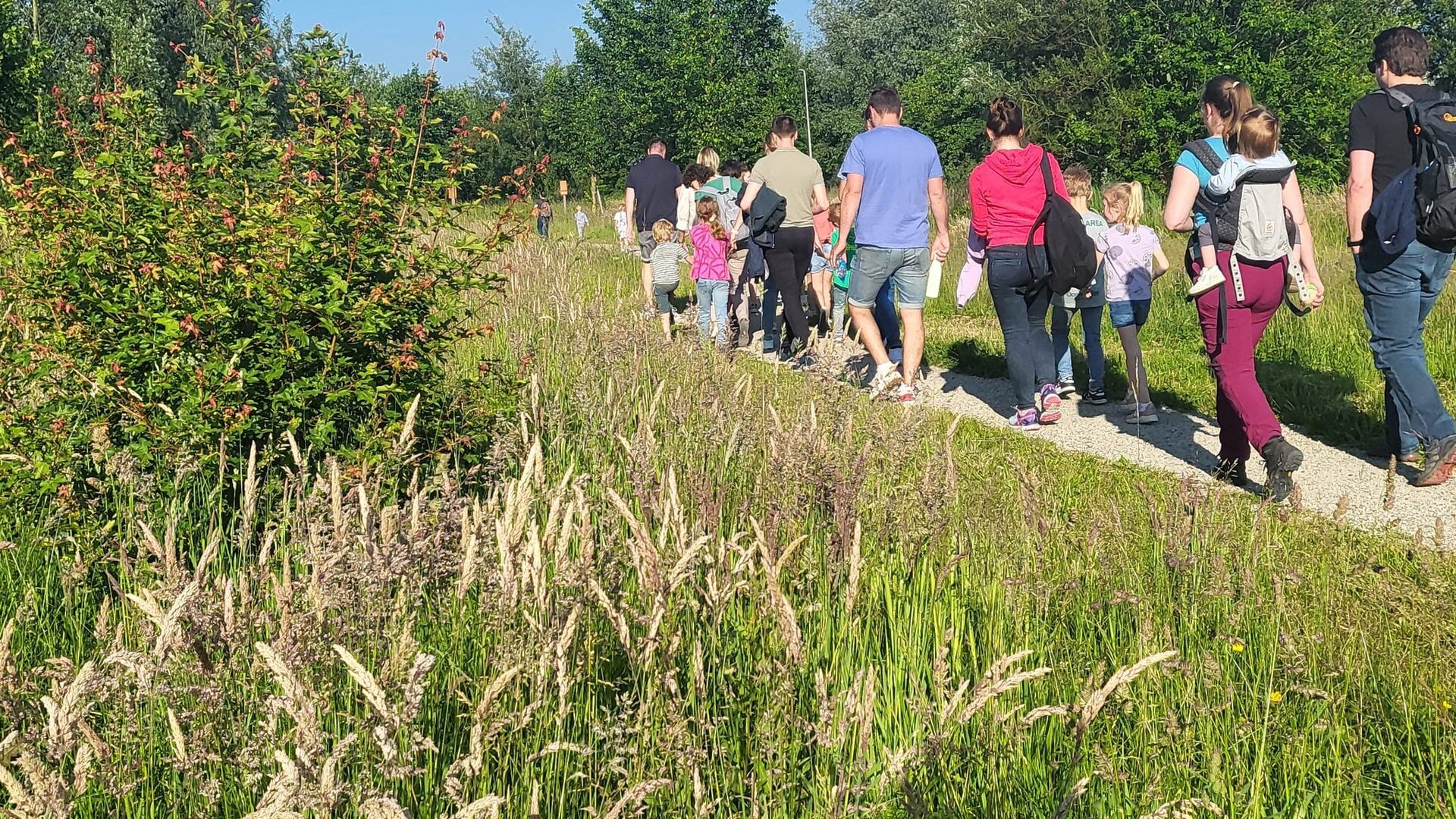 56ste Avondvierdaagse van Benthuizen