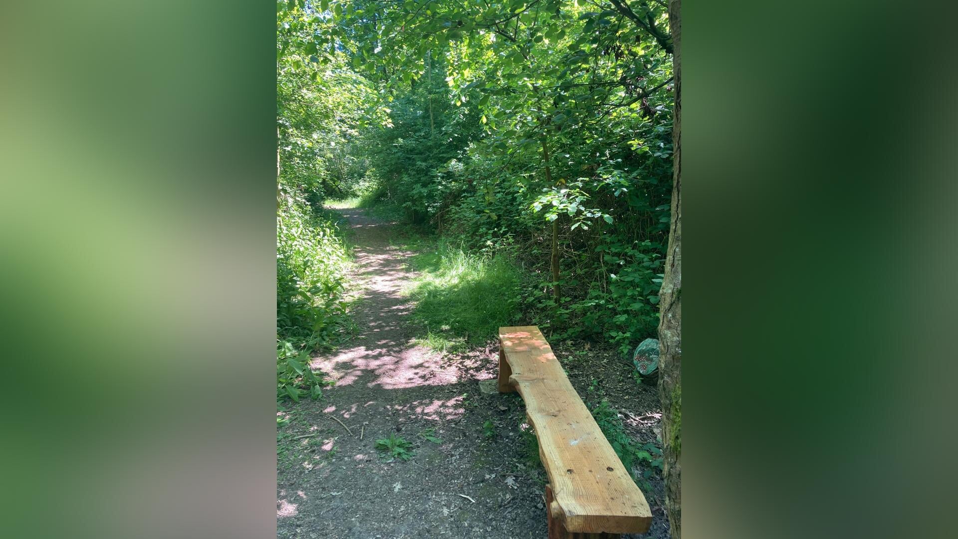 Toon Tellegenpad is bosrijke route voor wandelaars tussen Brielle en Rozenburg