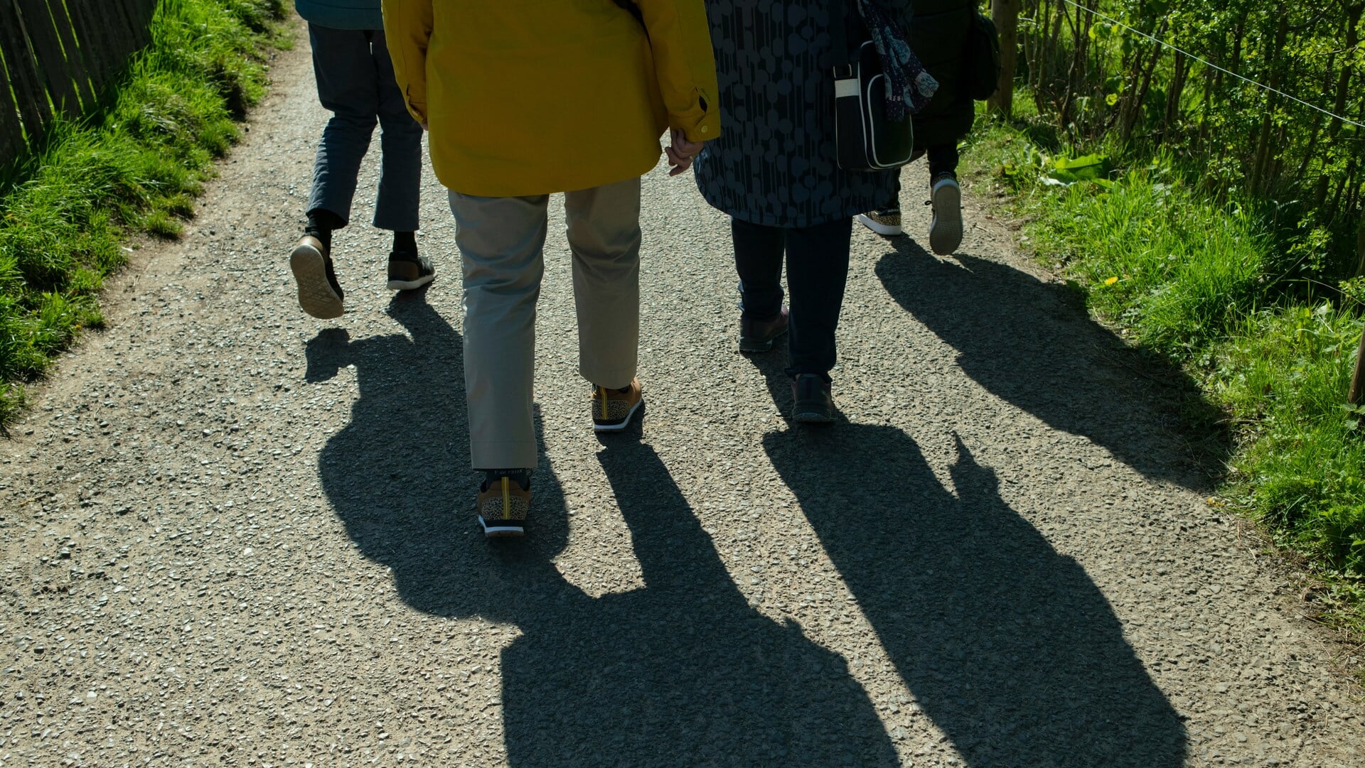 Avond4daagse Monnickendam 2025: het programma en praktische tips