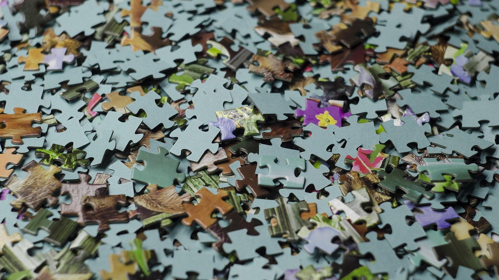 Puzzelcup Opmeer