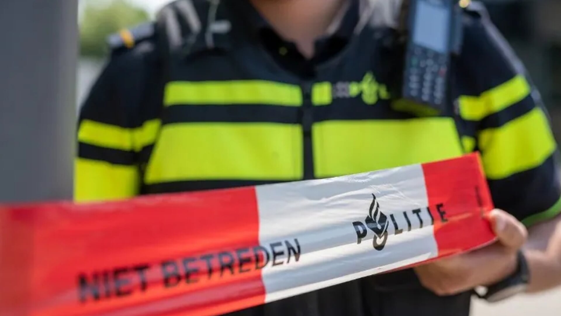 Man overleden na aanval van stier aan de Noordervaart in Stompetoren