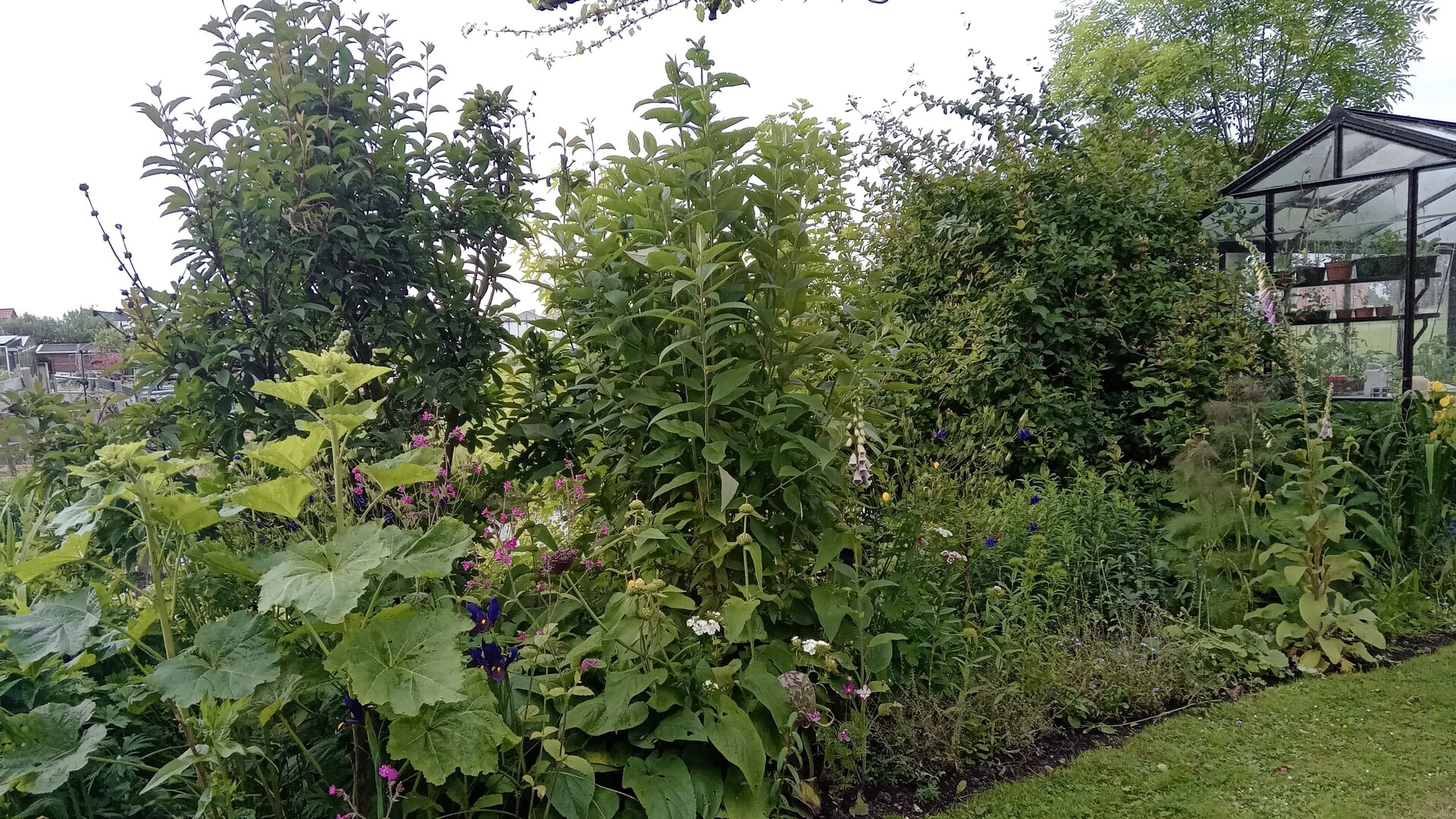 Open Tuinendag Groei & Bloei in Andijk