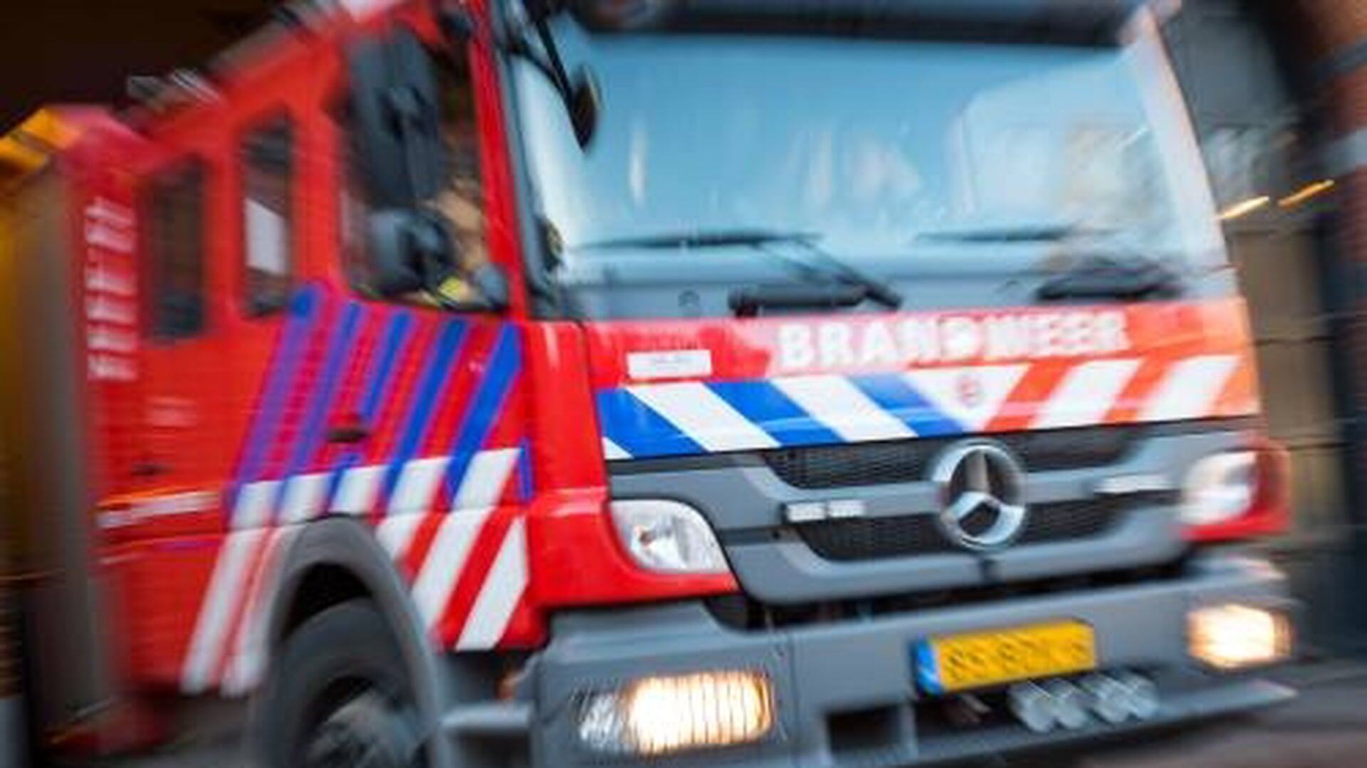 Oud bospand in Donkere Duinen in brand, brandstichting niet uitgesloten