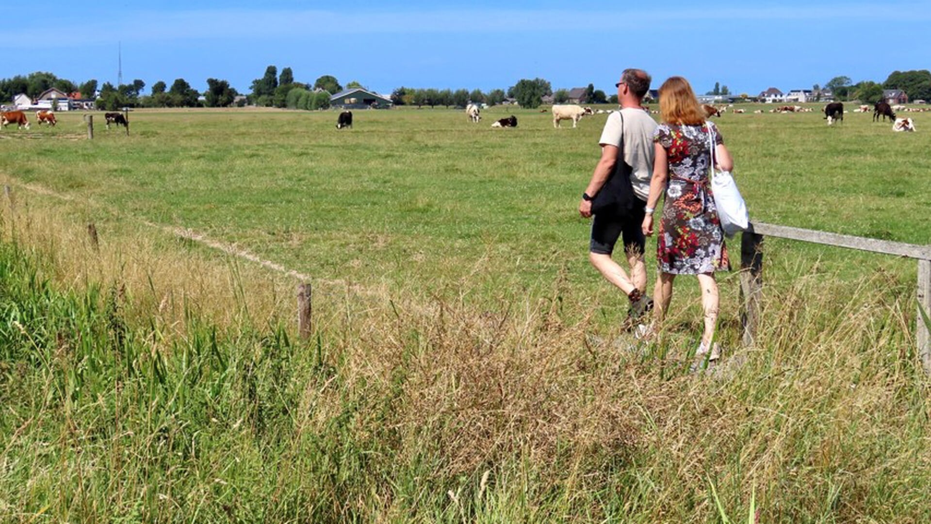 Nieuw vliegend wandelpad geopend in Maasland
