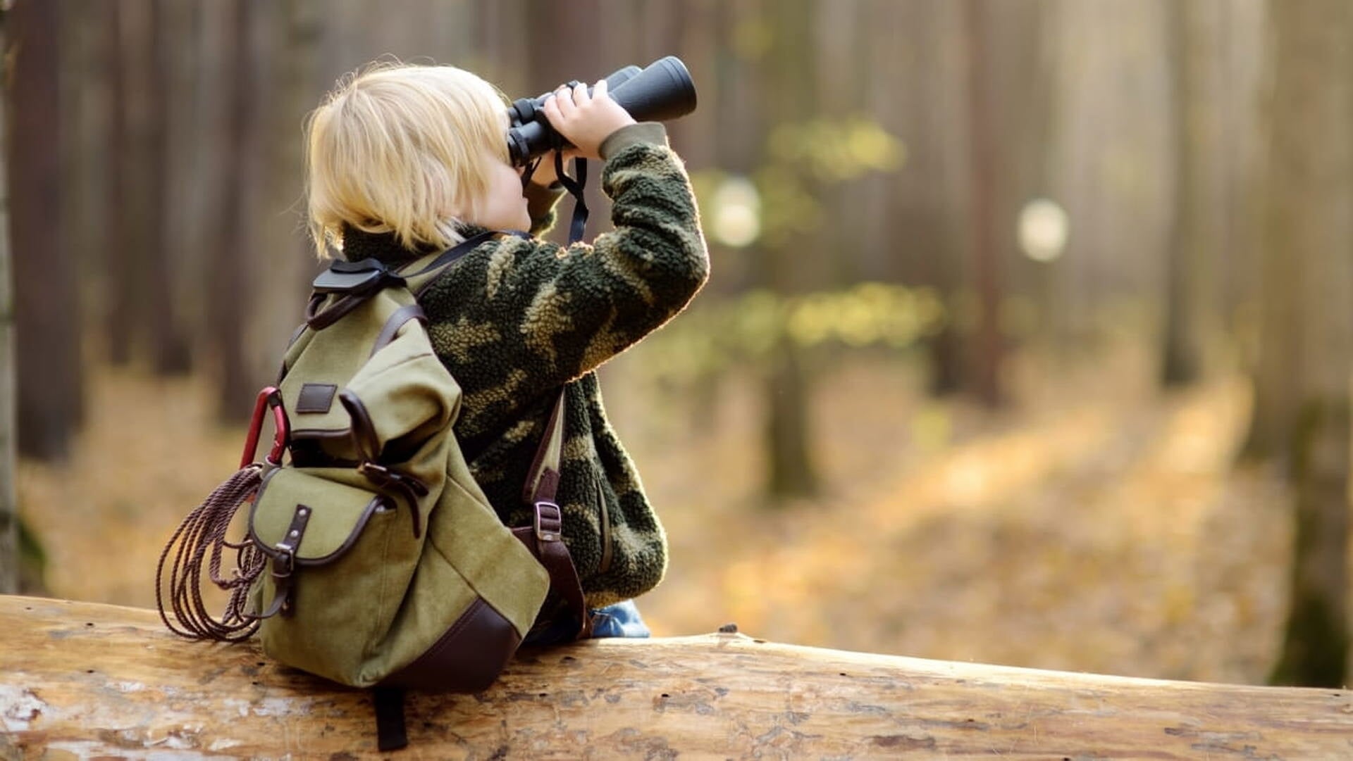 Spannende zomerspeurtochten door de Schoorlse Duinen: ‘Ritselt daar iets?’