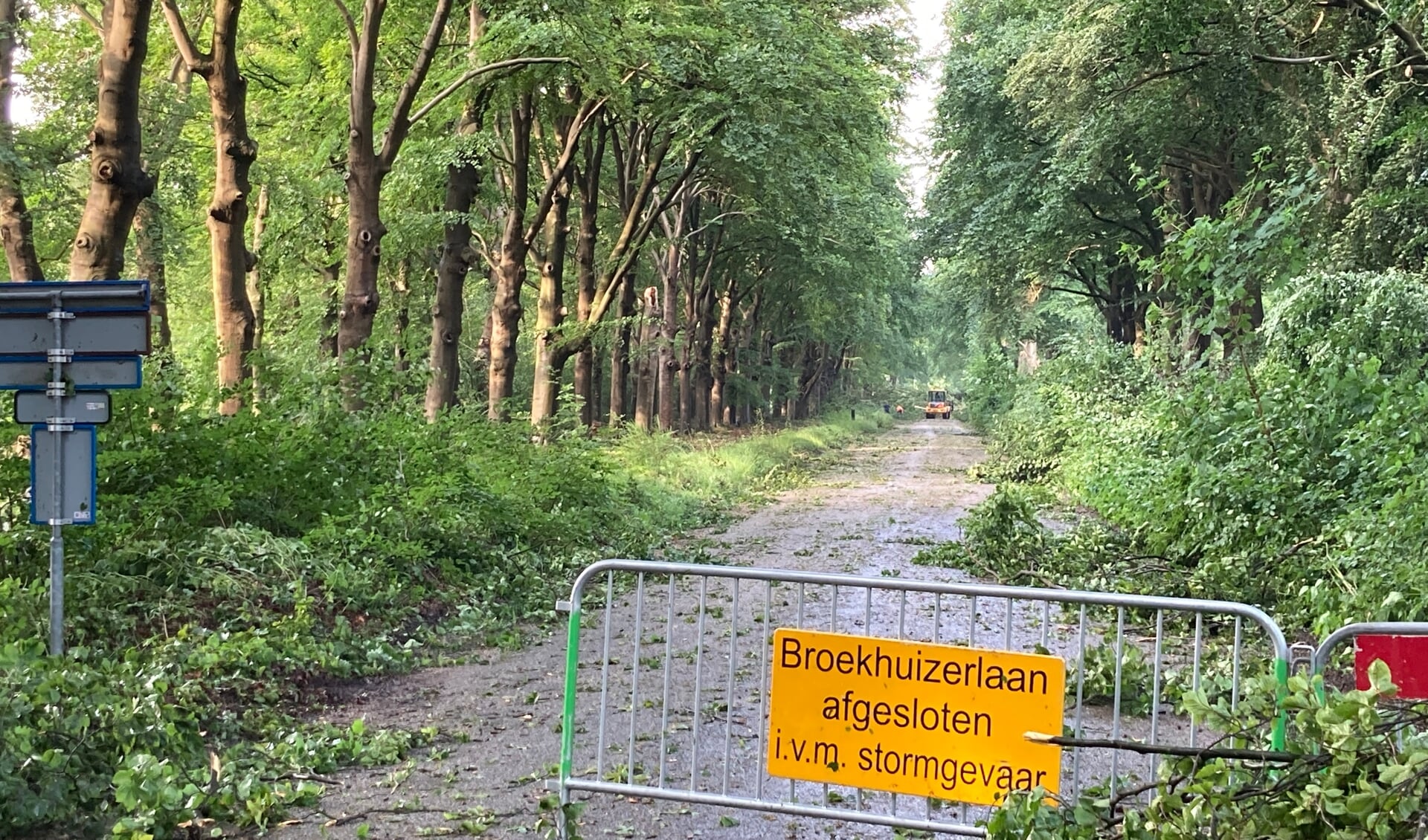 ‘Zorgvuldige Afweging Nodig Bij Het Kappen Van Bomen In Leersum ...