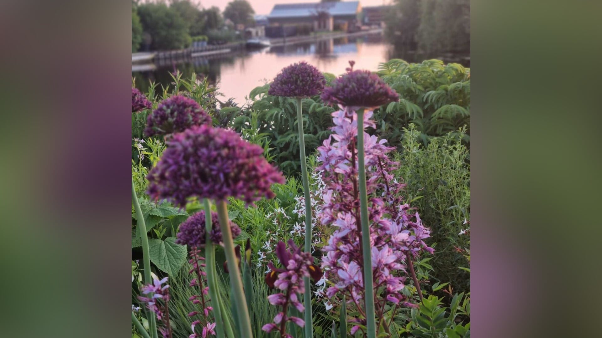 Start pluktuin met Slow Flowers in Boskoop