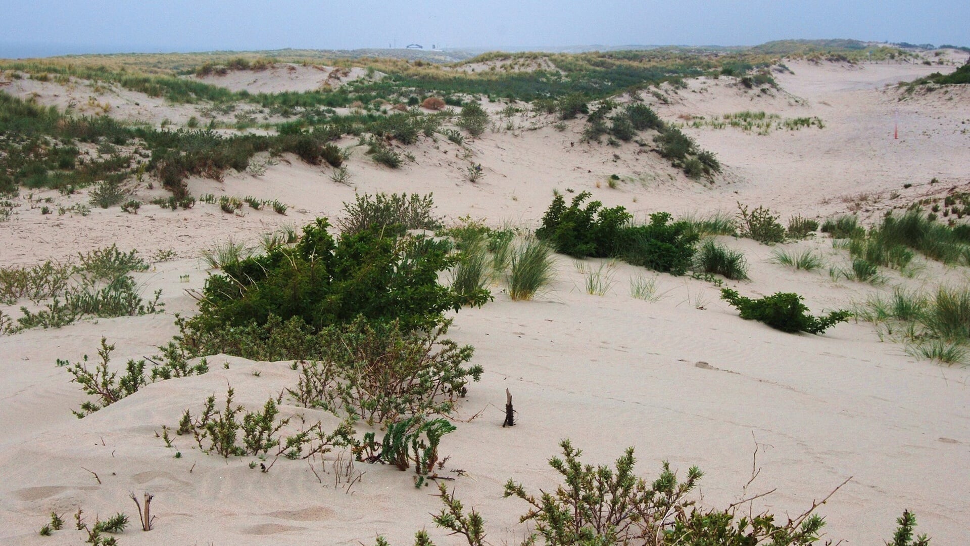 Ontdek de duinen van de Van Dixhoorndriehoek